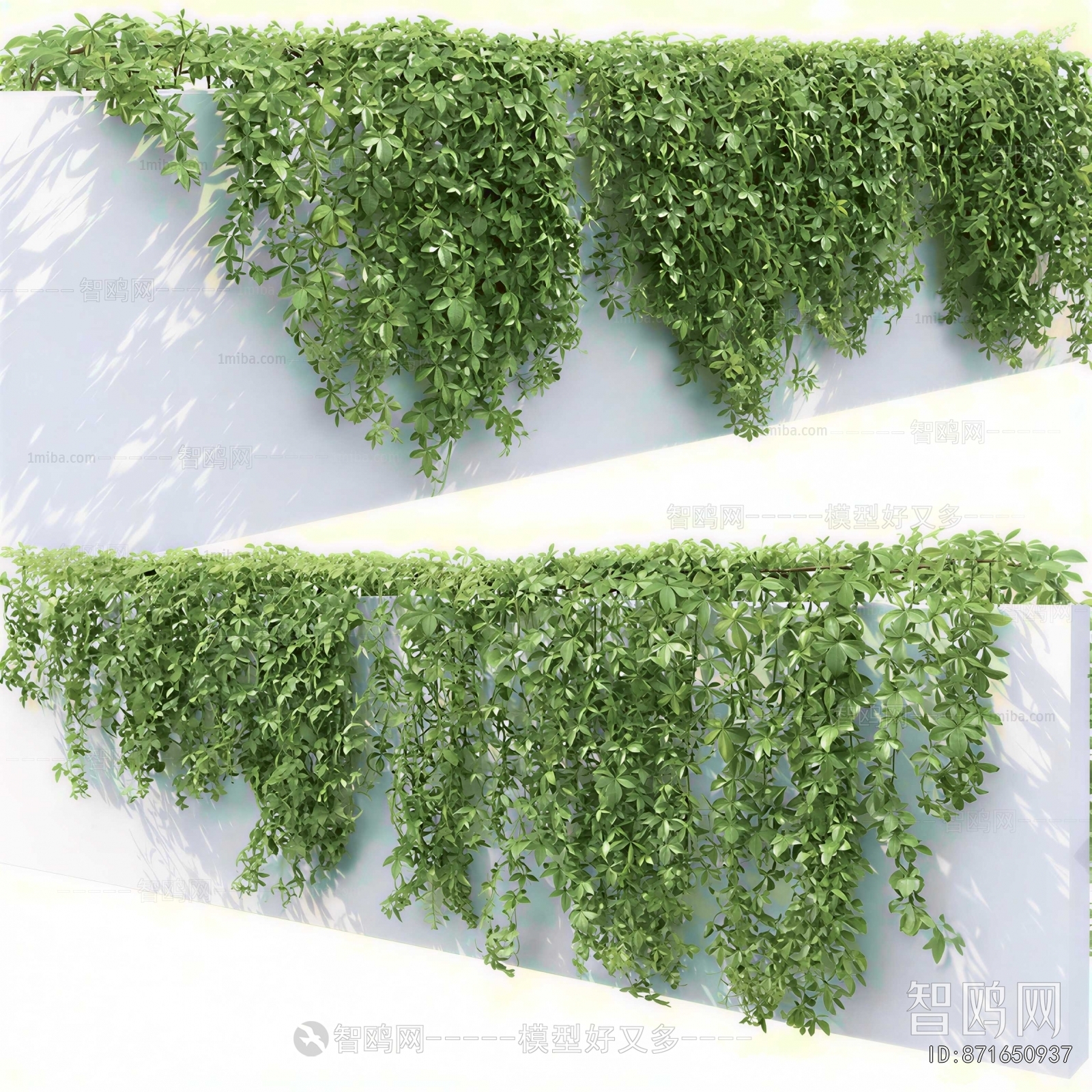 Modern Vine