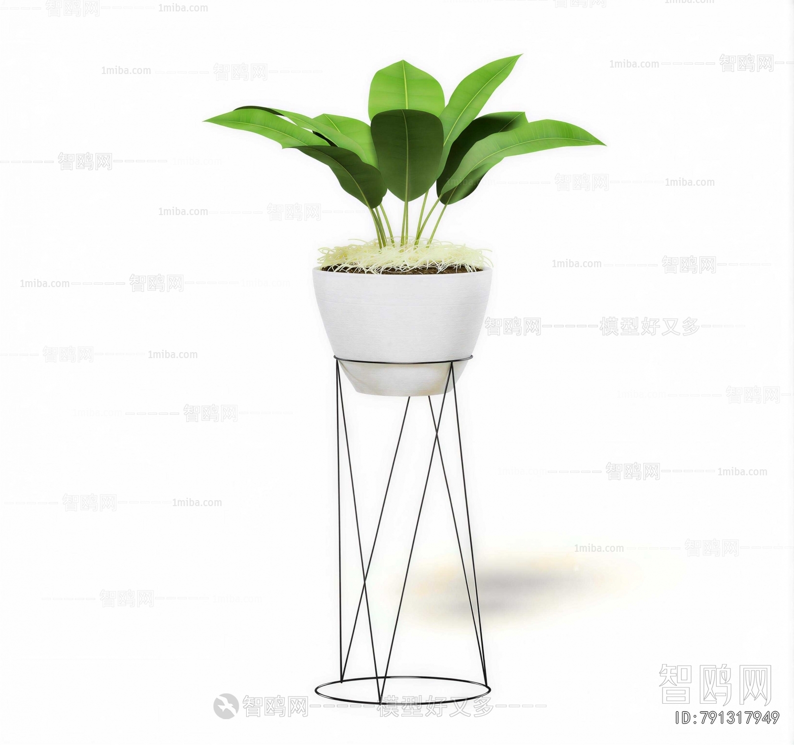 Modern Ground Green Plant Potted Plants