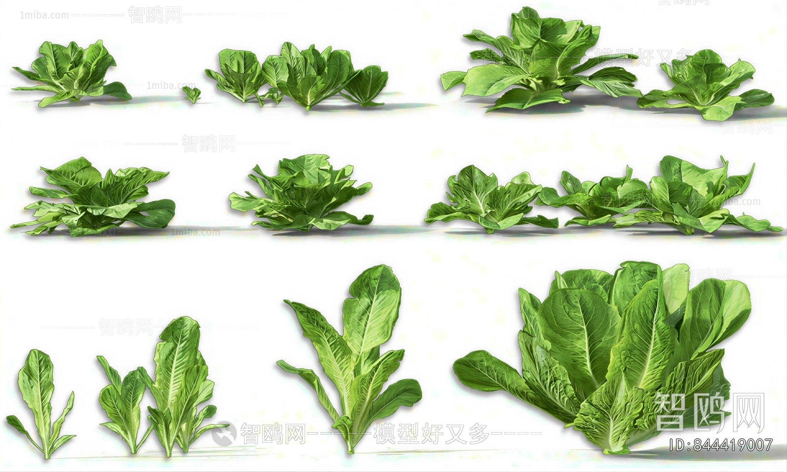 Modern Crop
