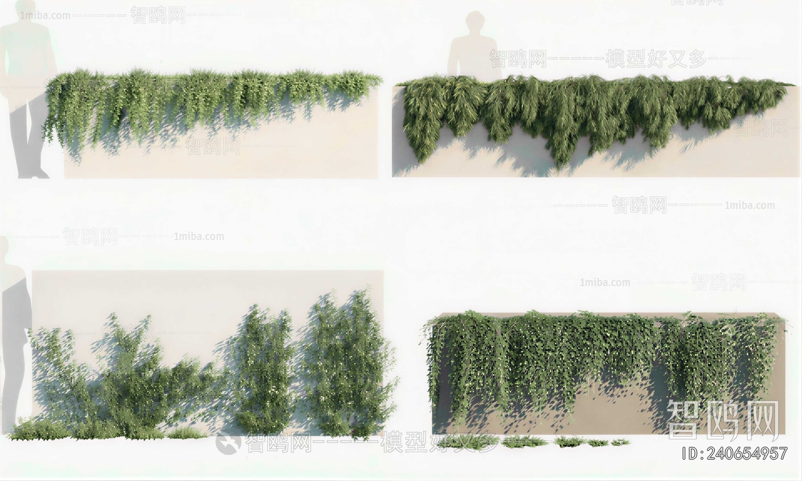 Modern Vine
