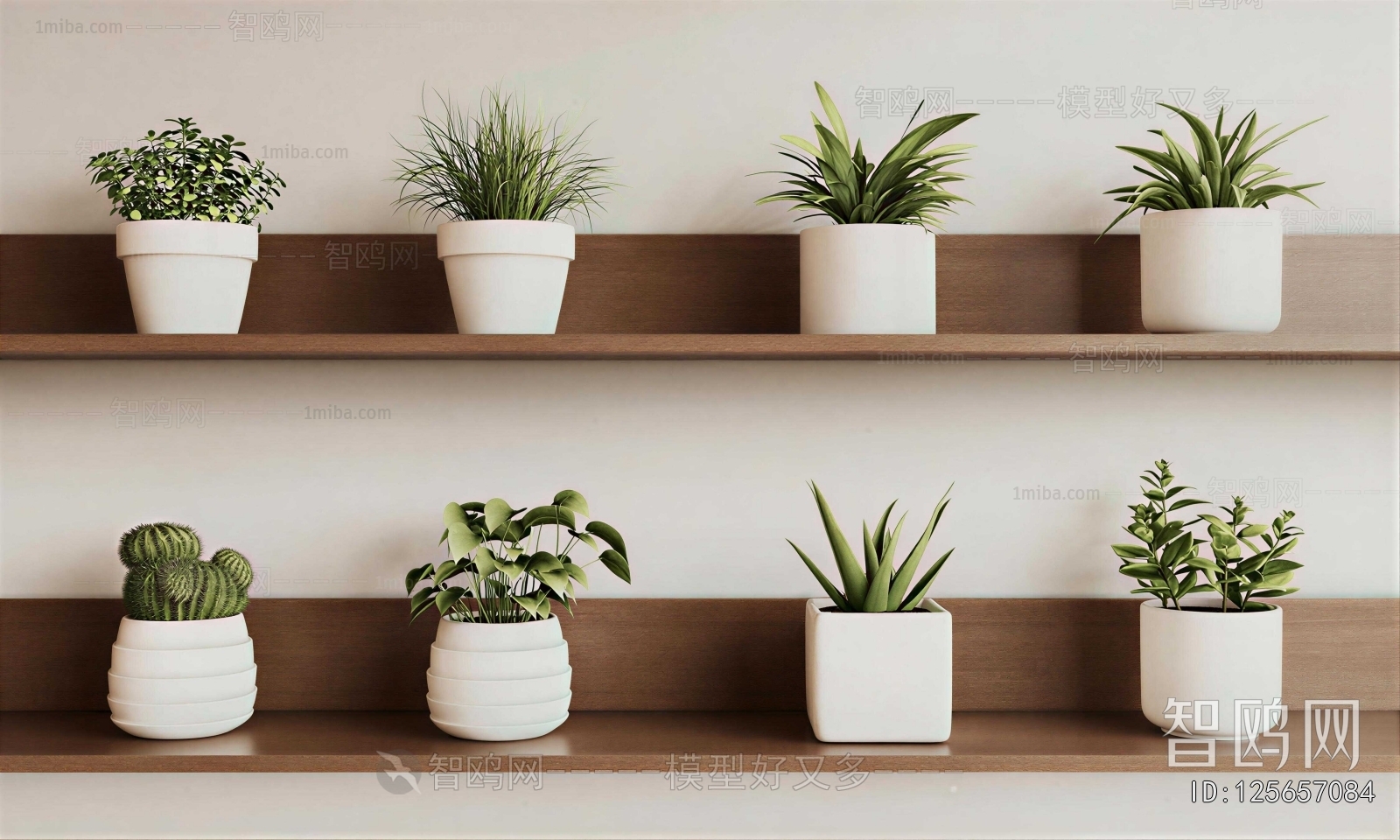 Modern Desktop Plant