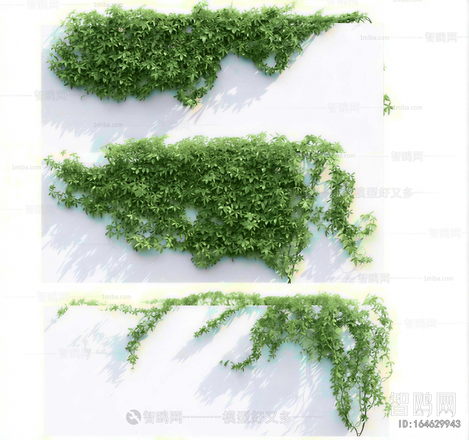 Modern Vine