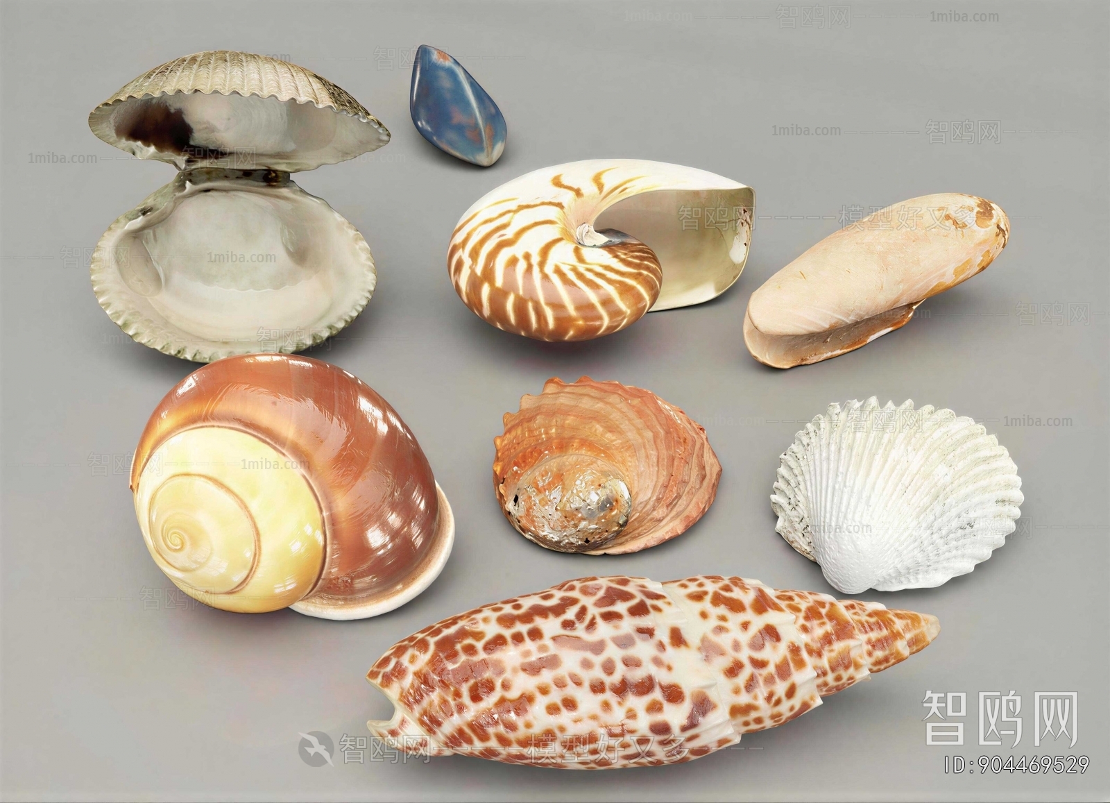 Modern Aquatic Animals