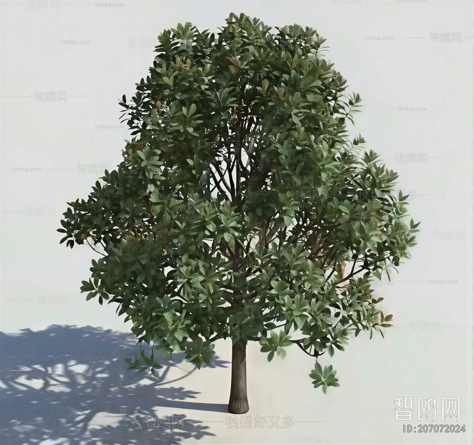 Modern Tree