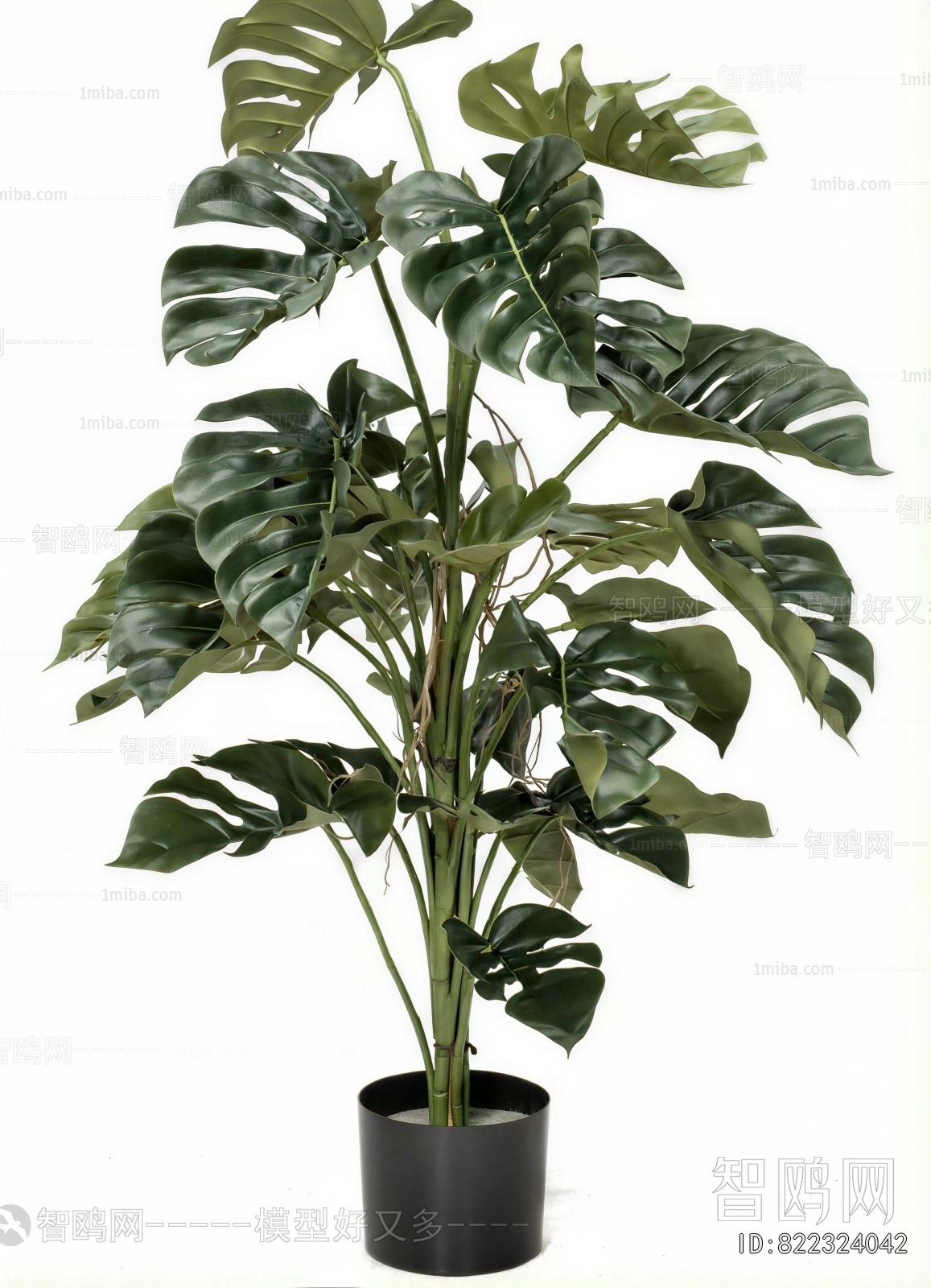 Modern Ground Green Plant Potted Plants