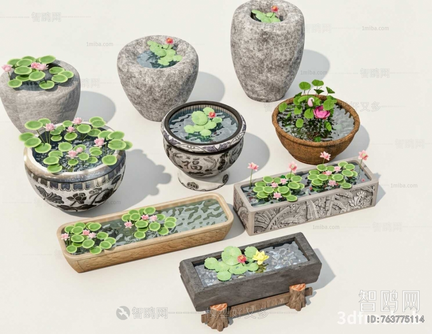 Chinese Style Garden