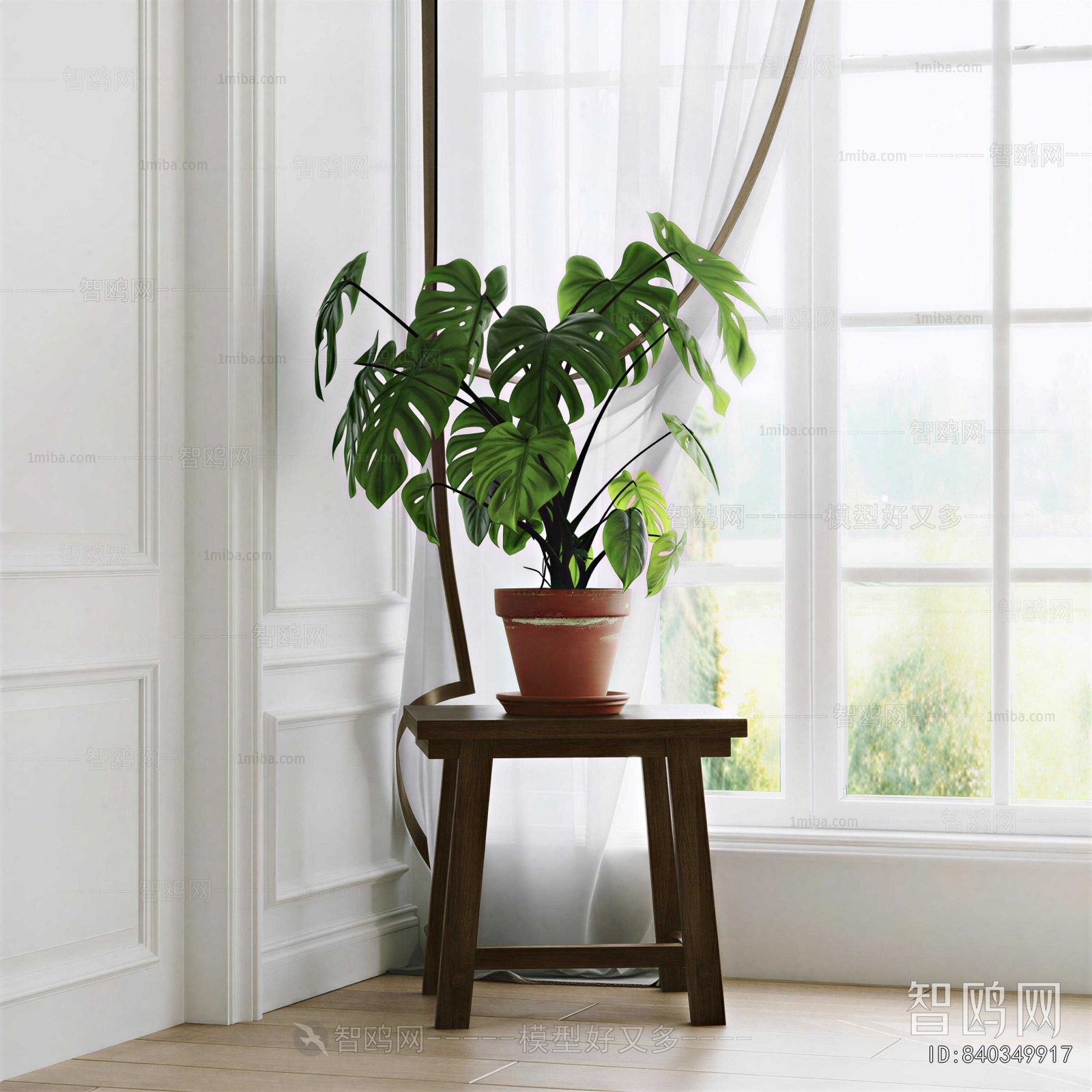 Modern Potted Green Plant