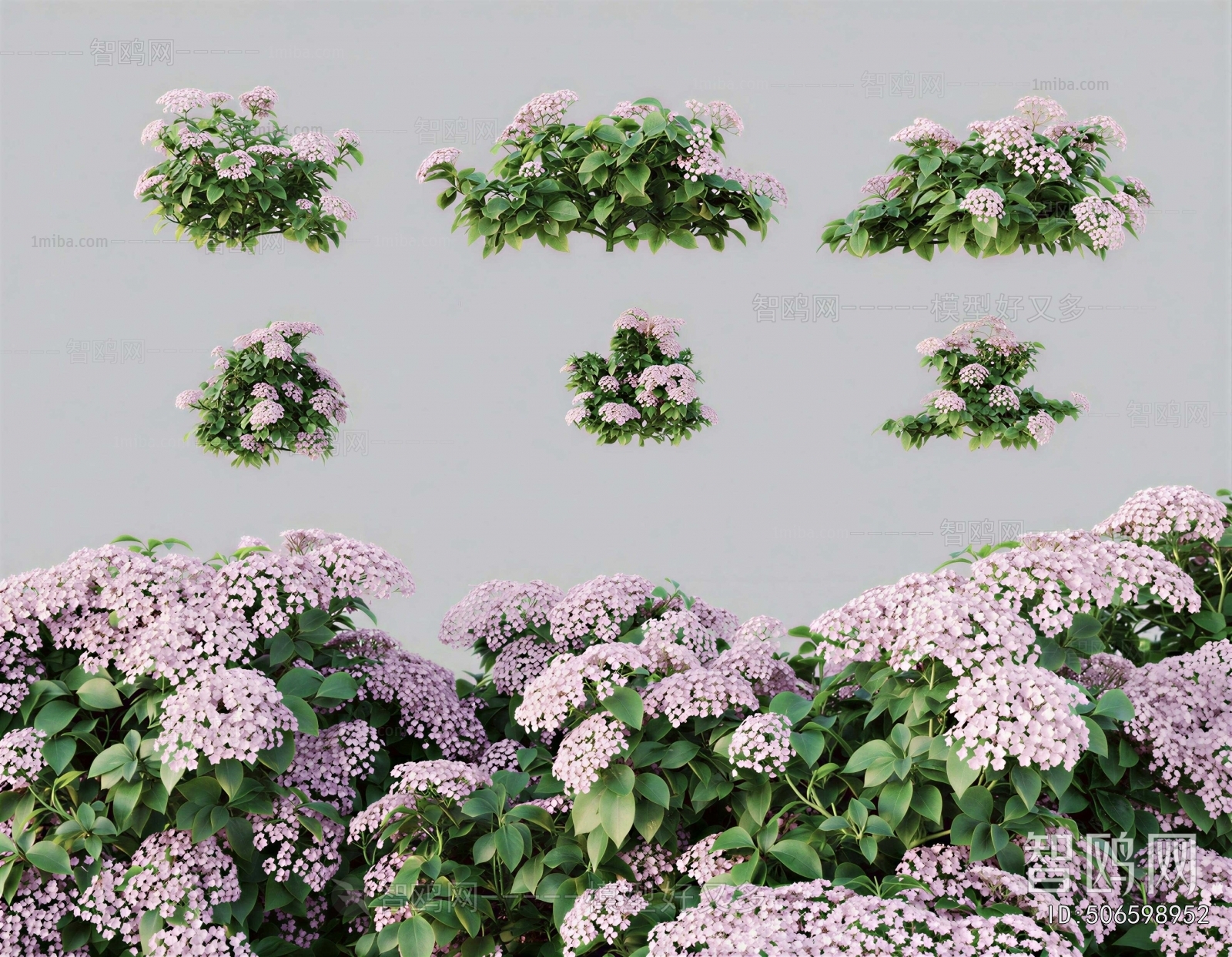 Modern Flowers And Grass