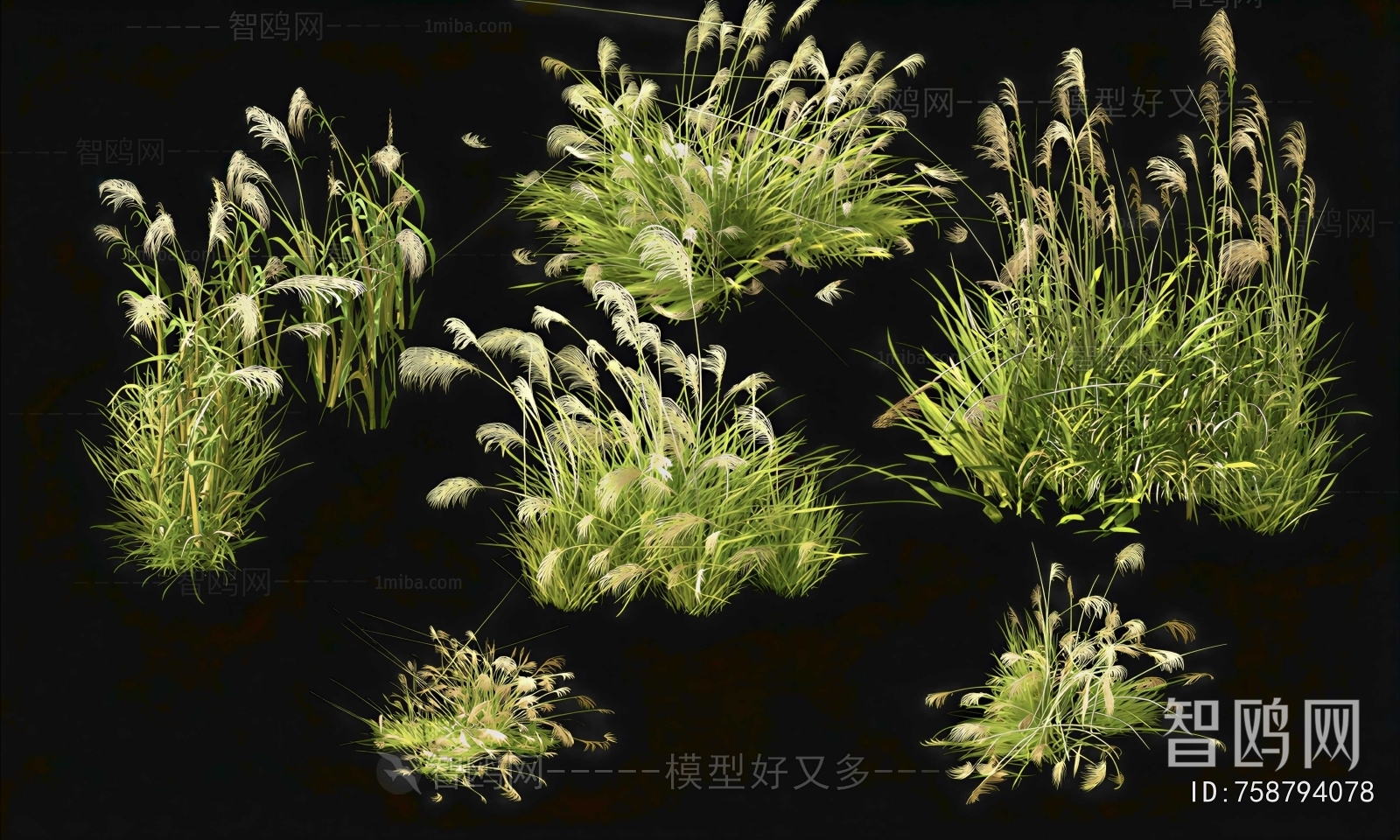 Modern The Grass