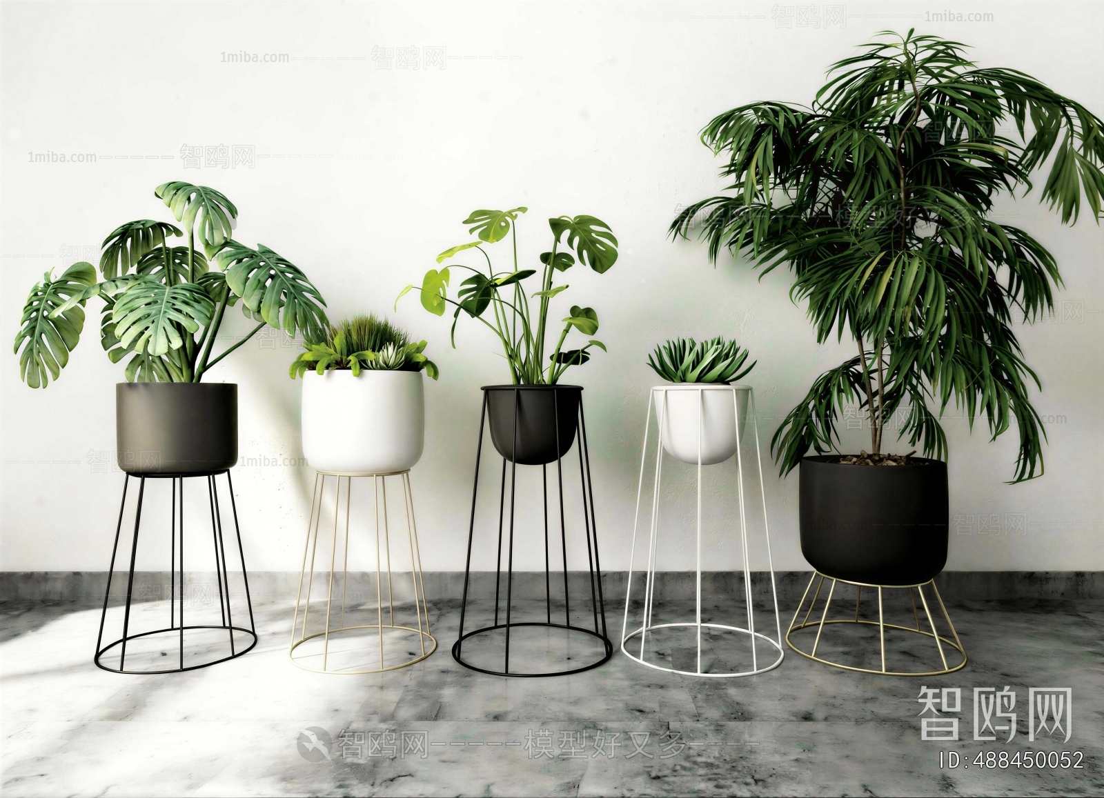 Modern Ground Green Plant Potted Plants
