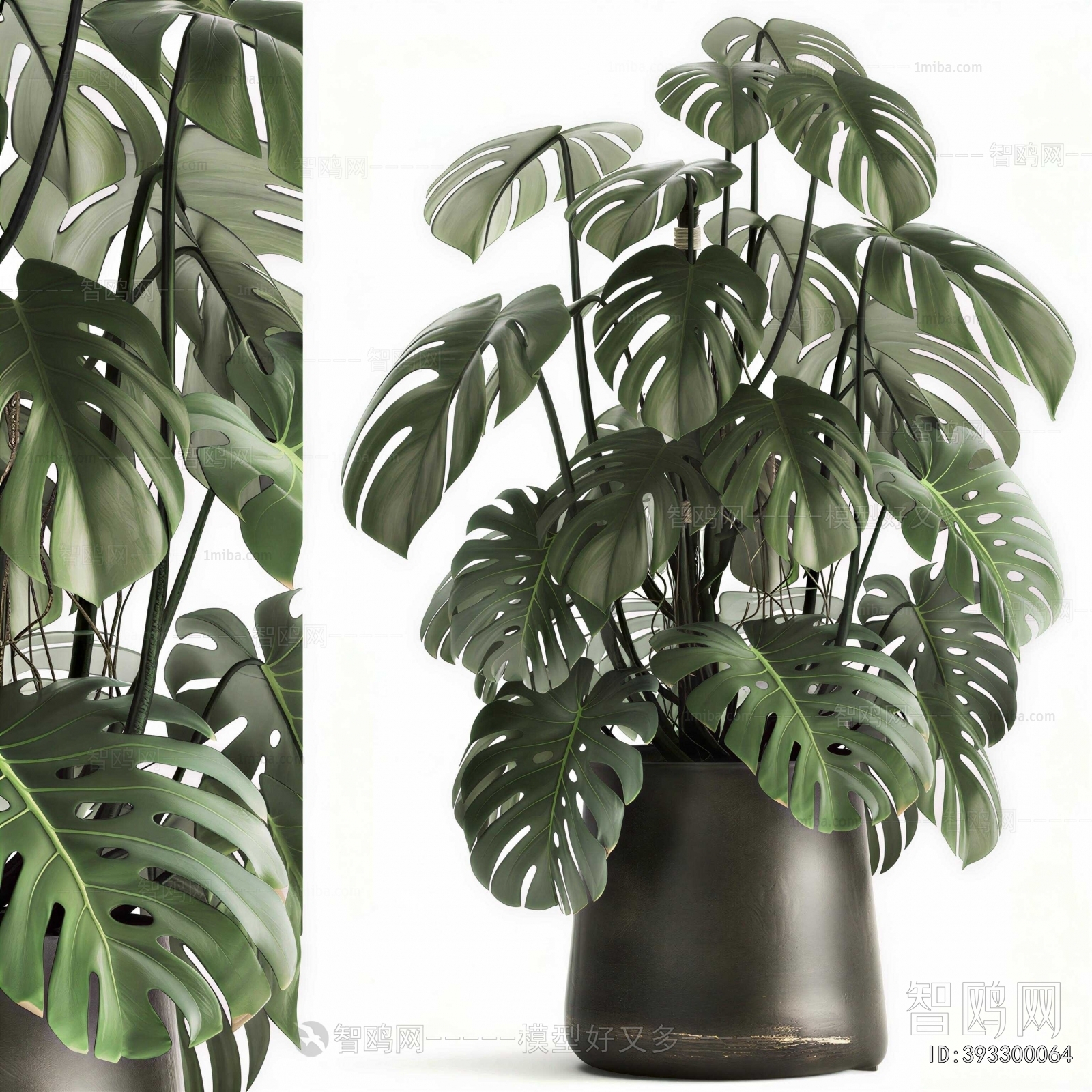 Modern Potted Green Plant