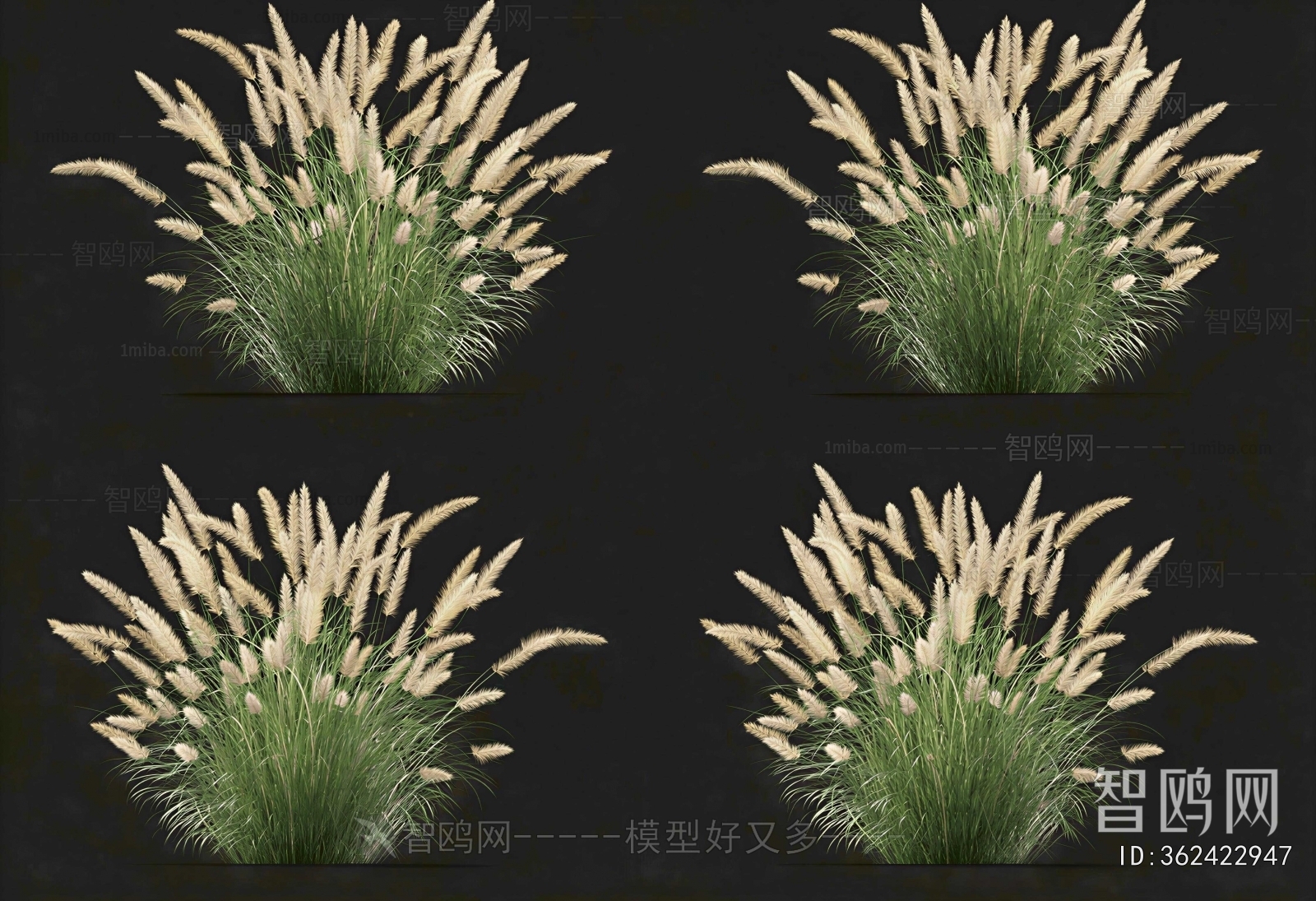 Modern The Grass