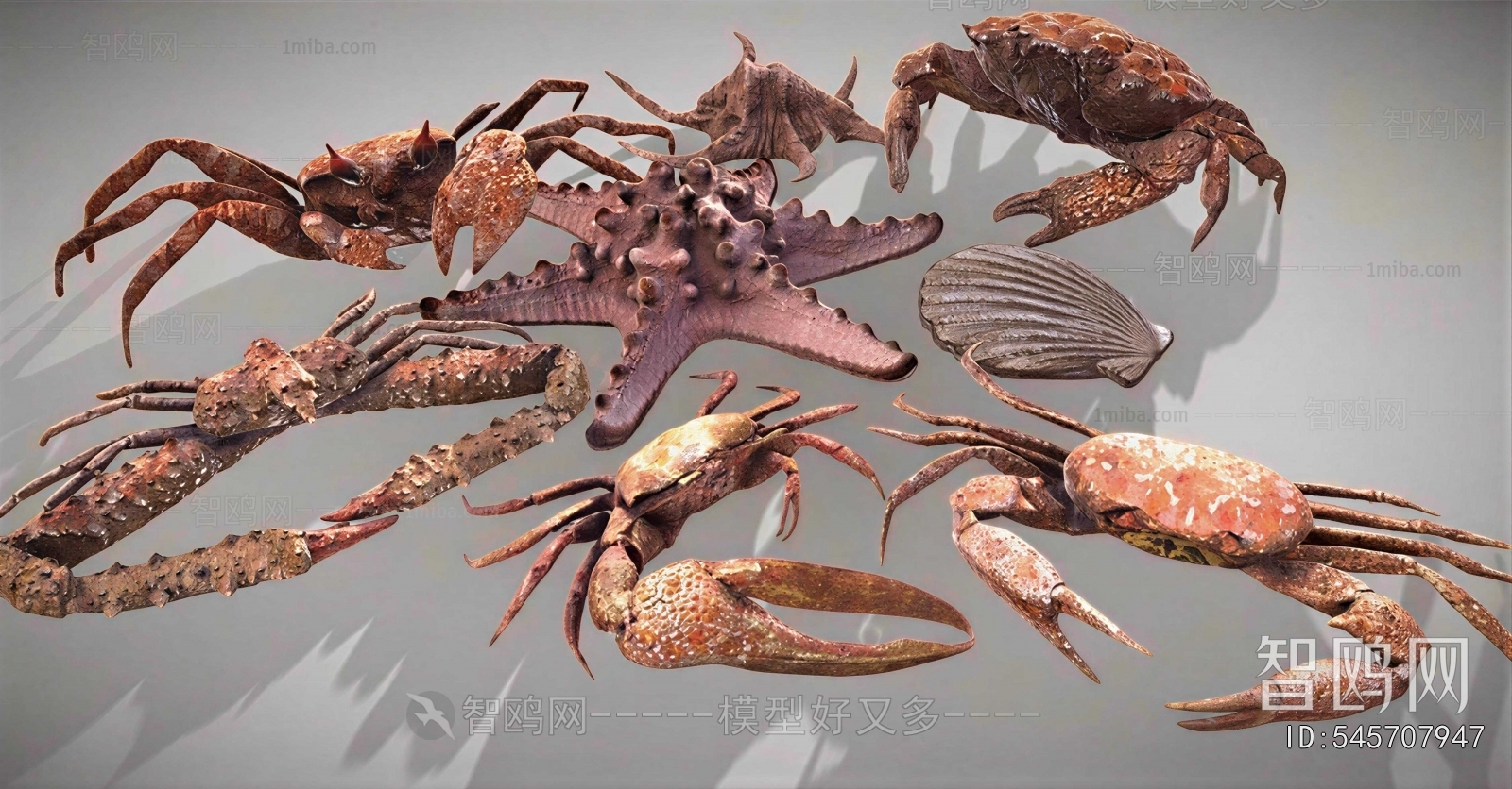 Modern Aquatic Animals