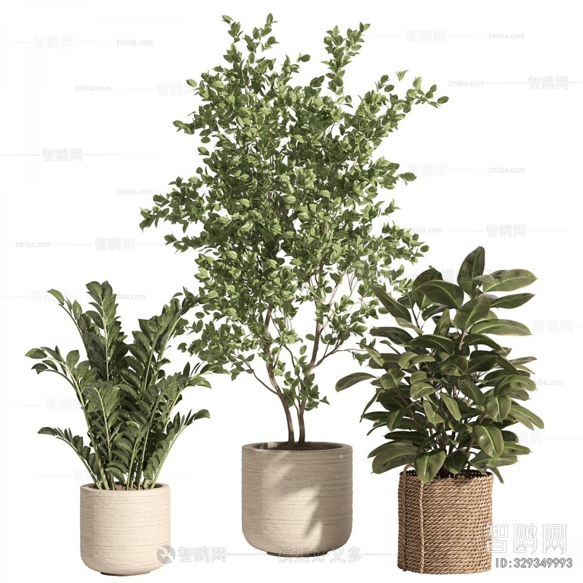 Modern Ground Green Plant Potted Plants