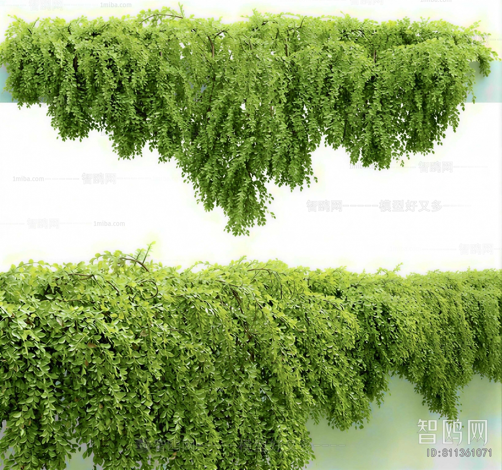 Modern Vine