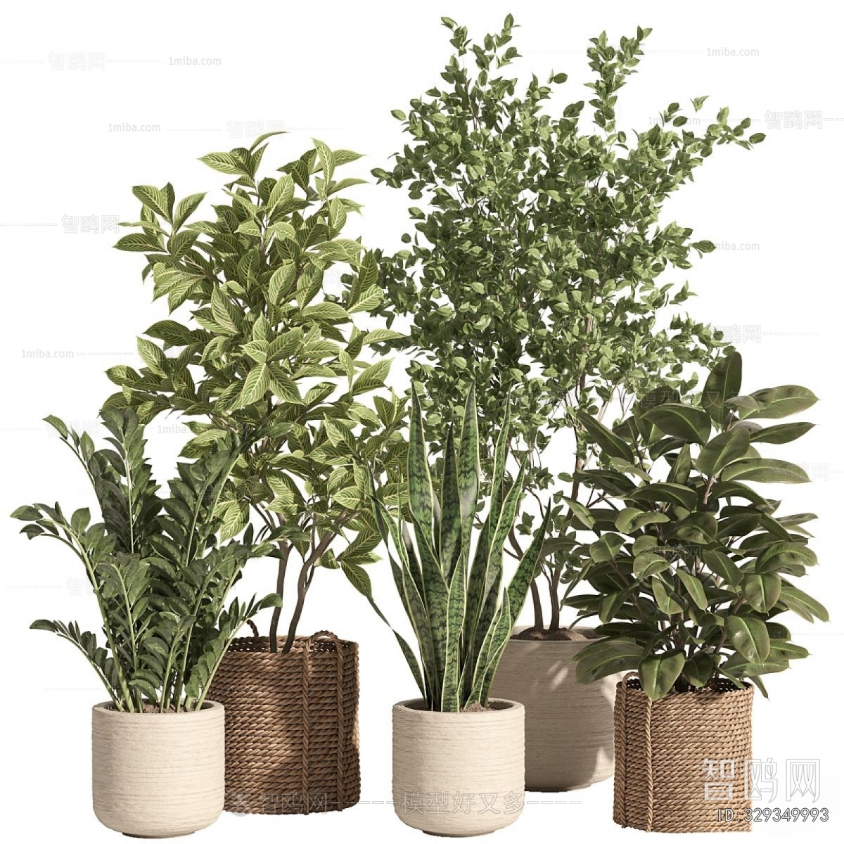 Modern Ground Green Plant Potted Plants