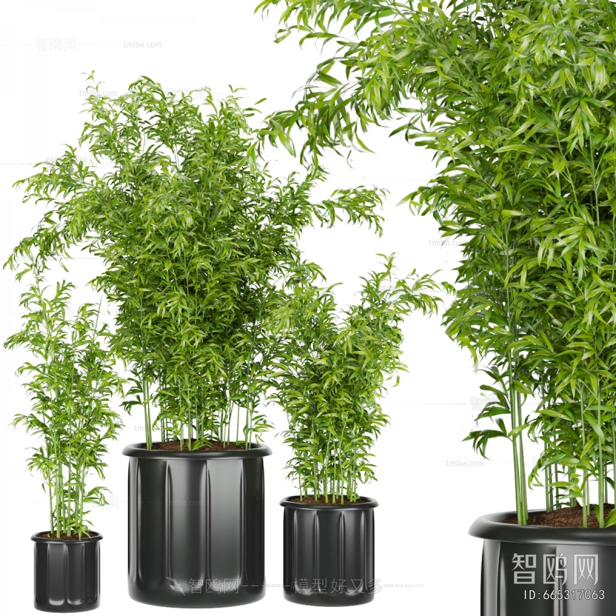 Modern Bamboo