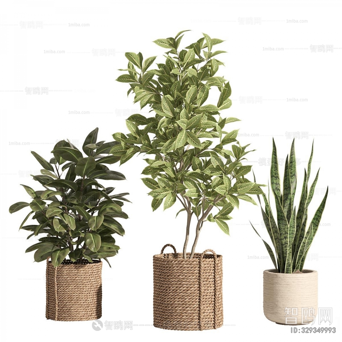 Modern Ground Green Plant Potted Plants