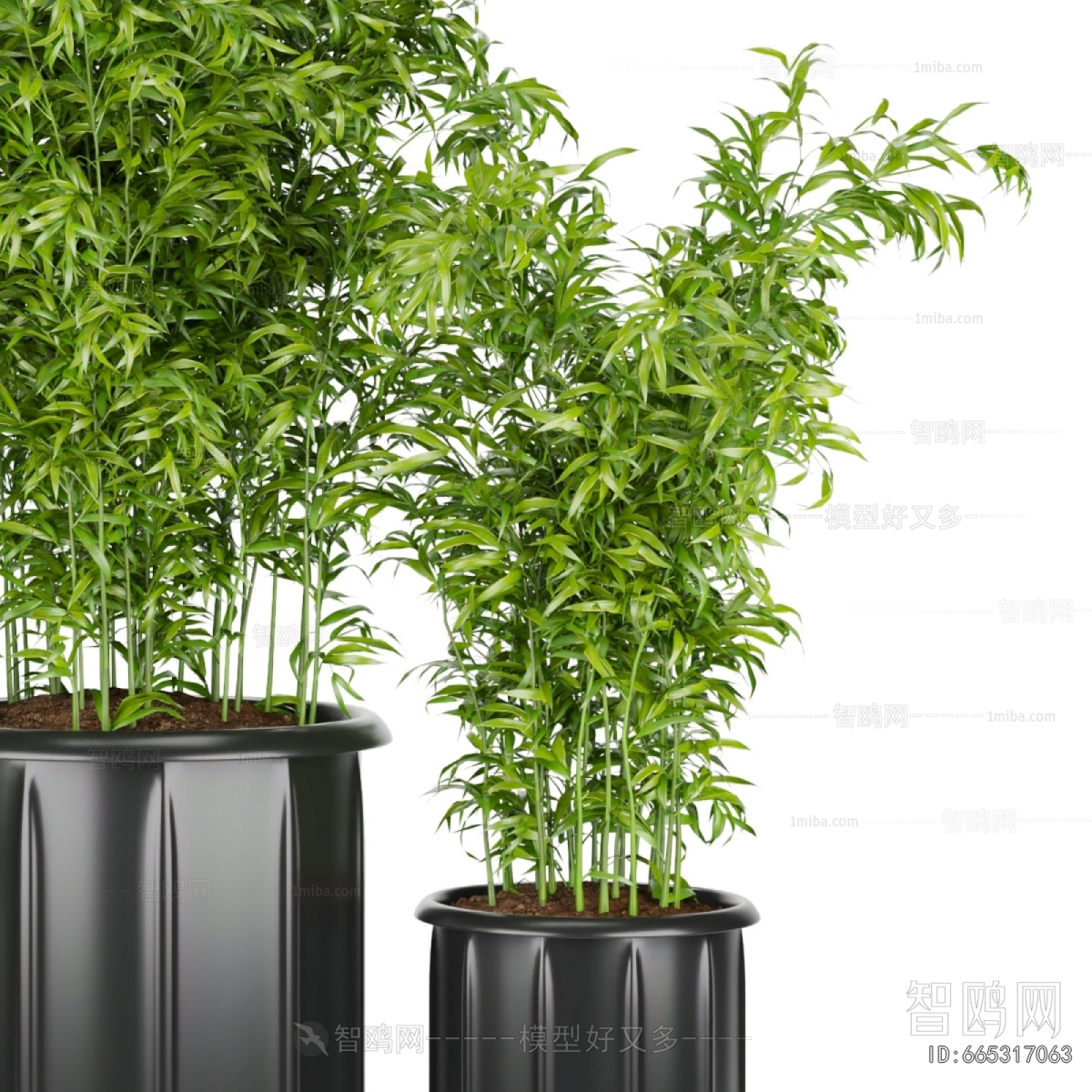 Modern Bamboo