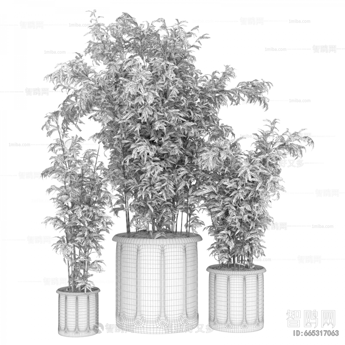 Modern Bamboo