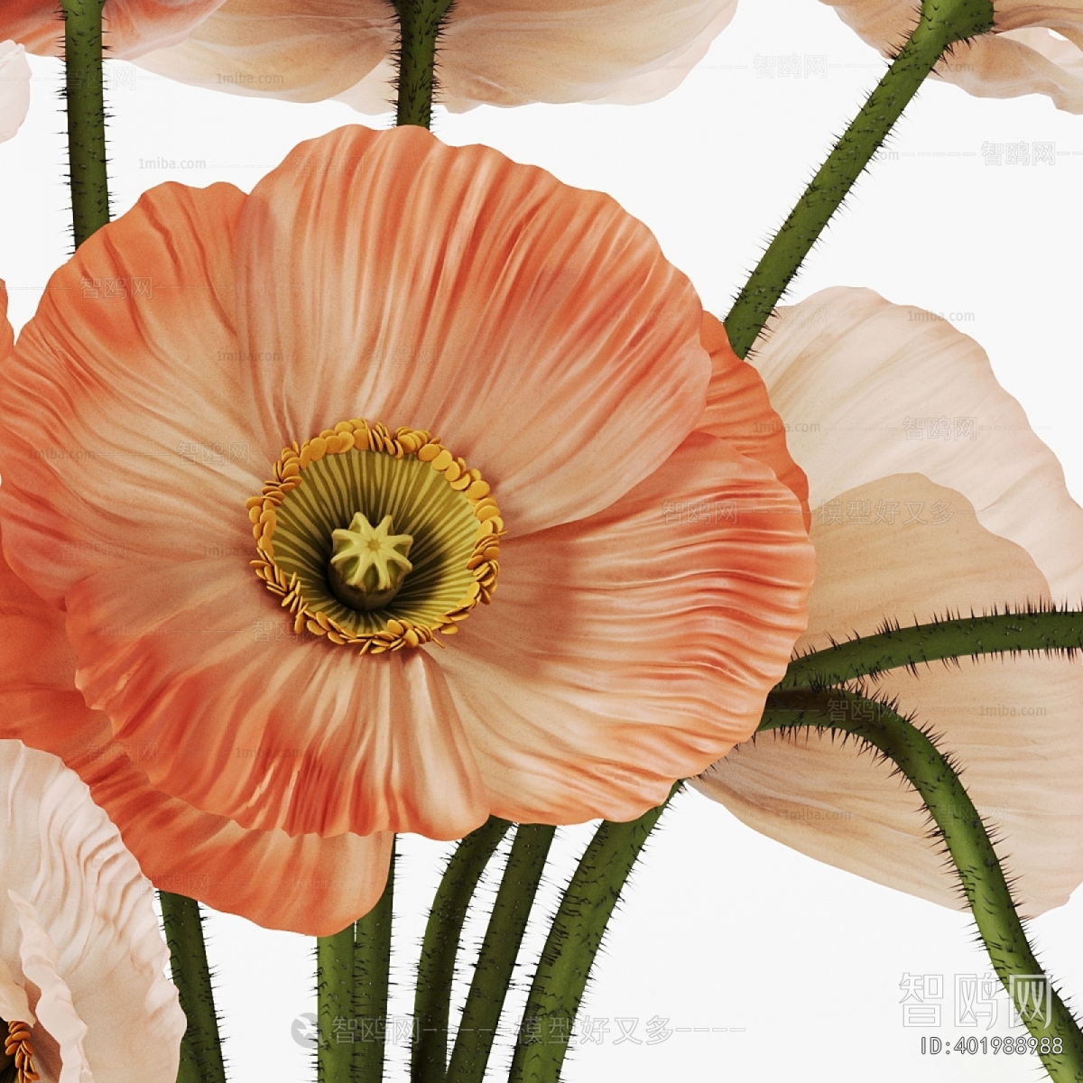 Modern Flower Arrangement