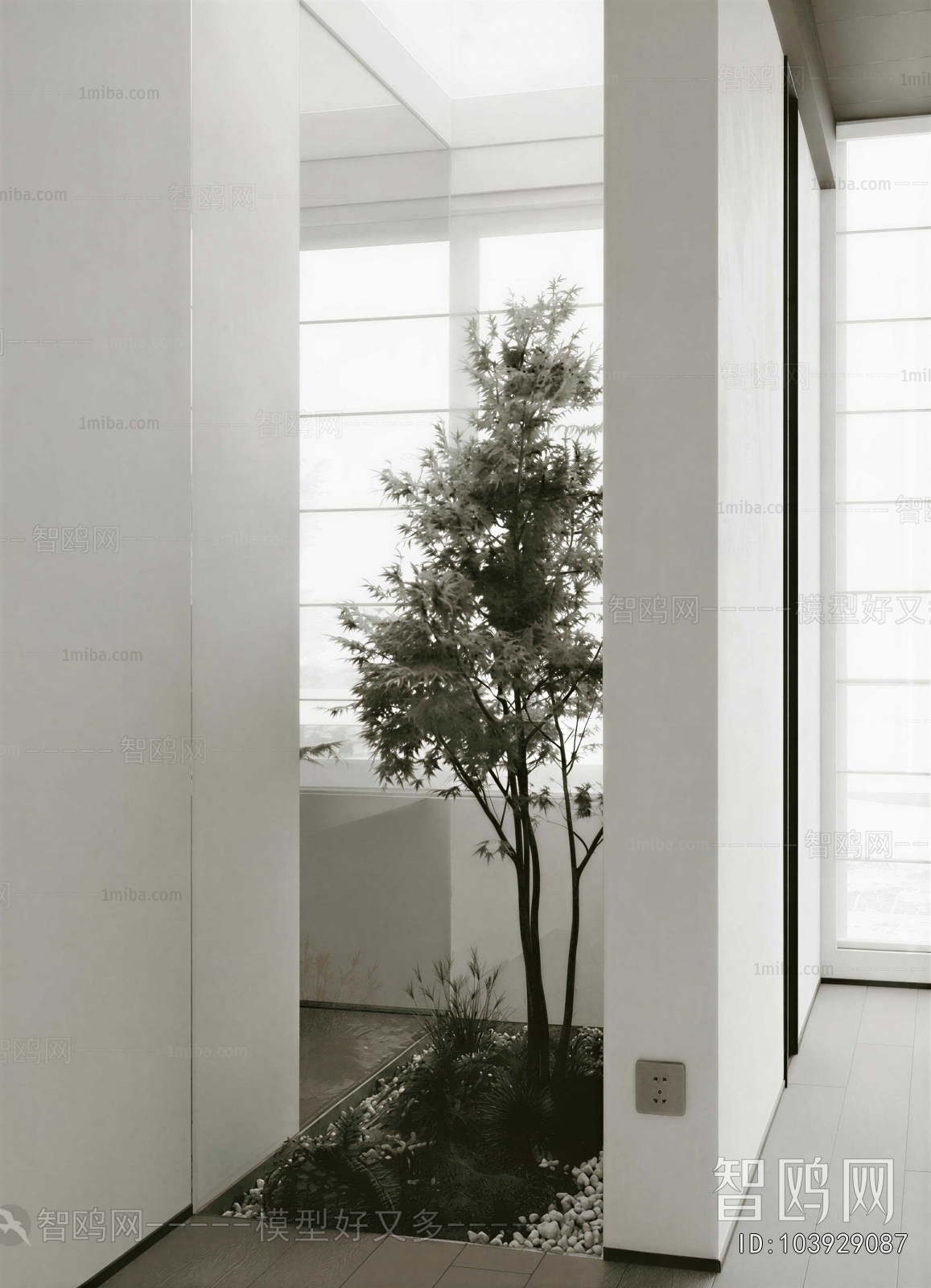 Modern Plant Landscaping