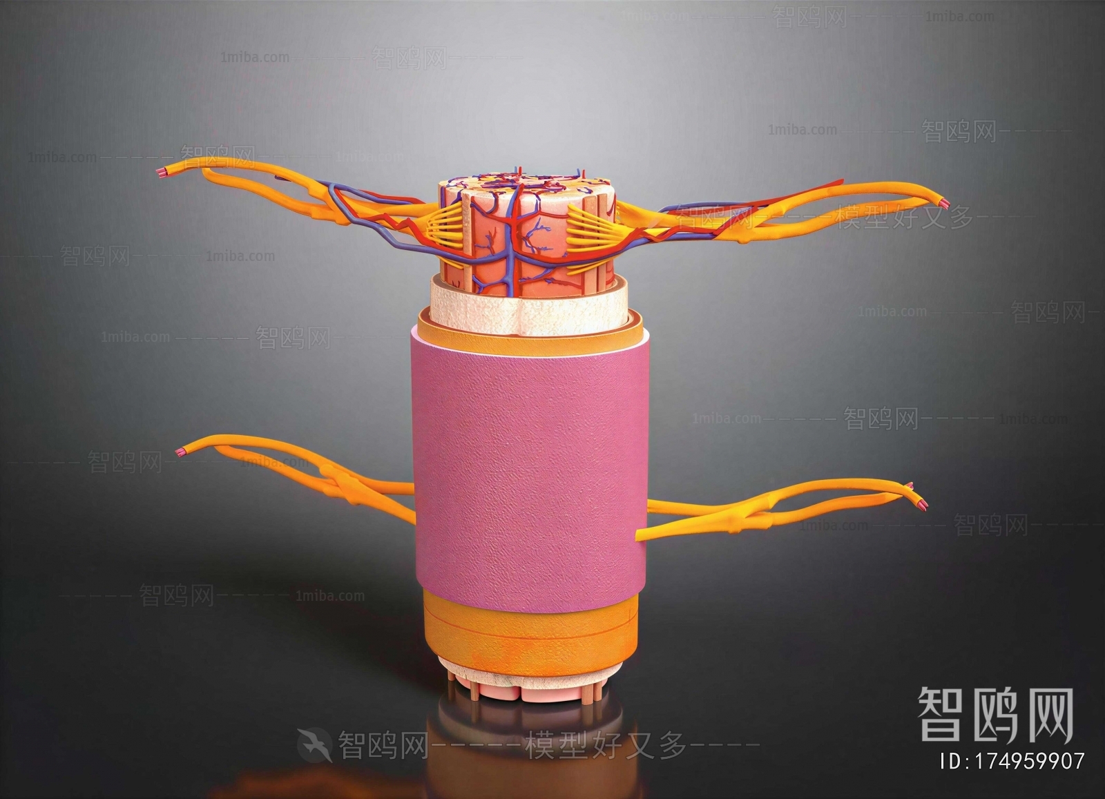 Modern Medical Equipment