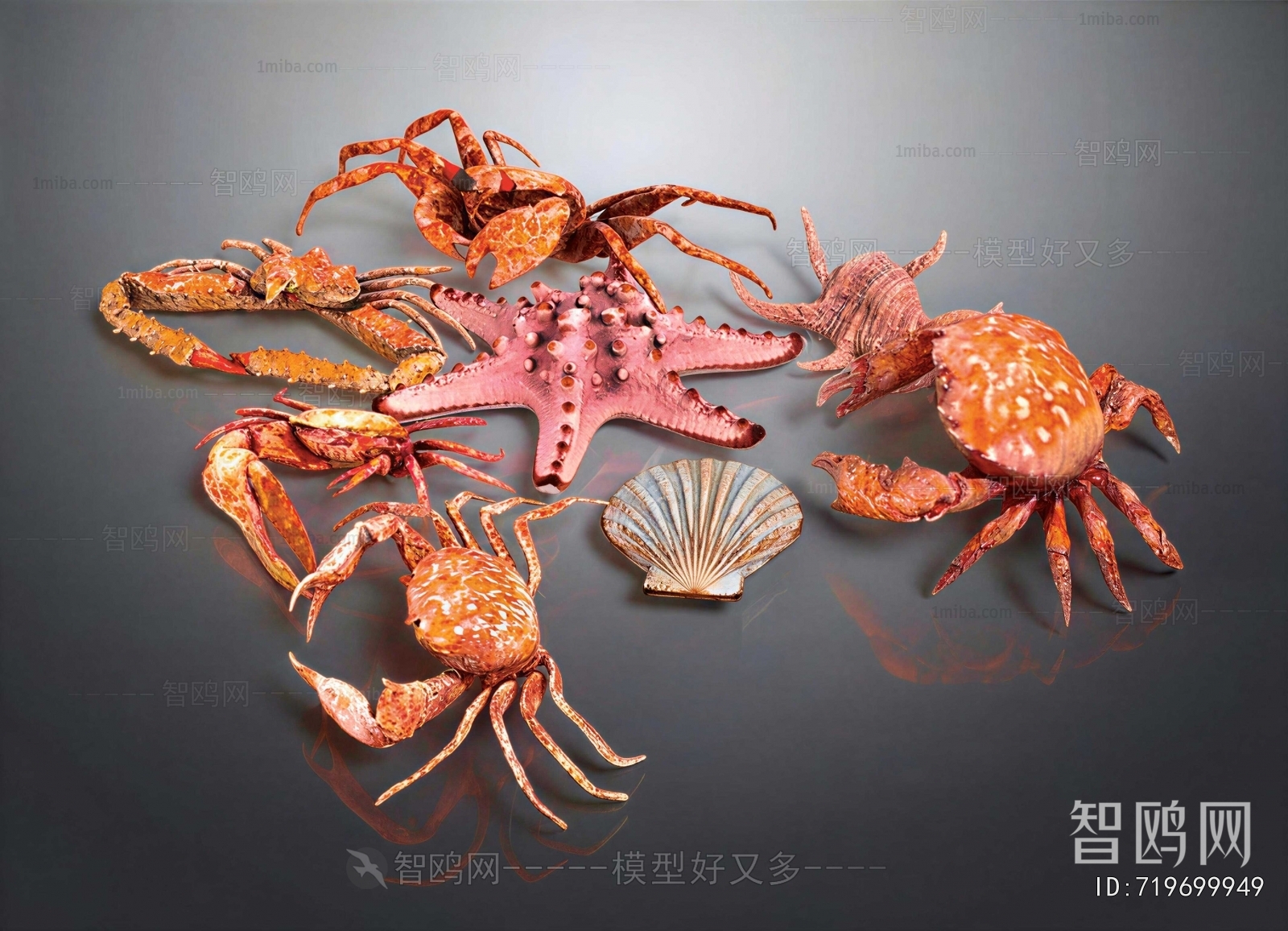 Modern Aquatic Animals