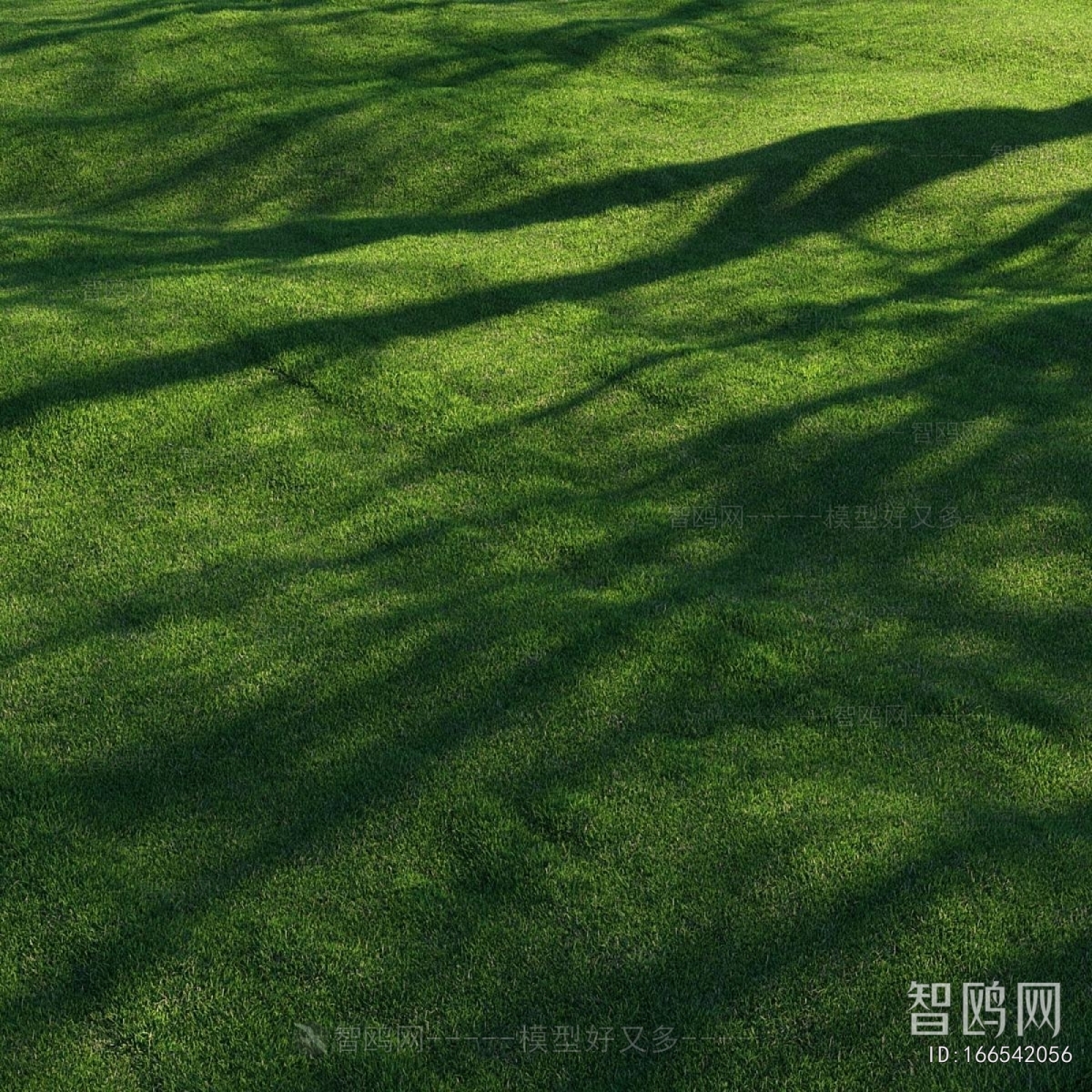 Modern The Grass