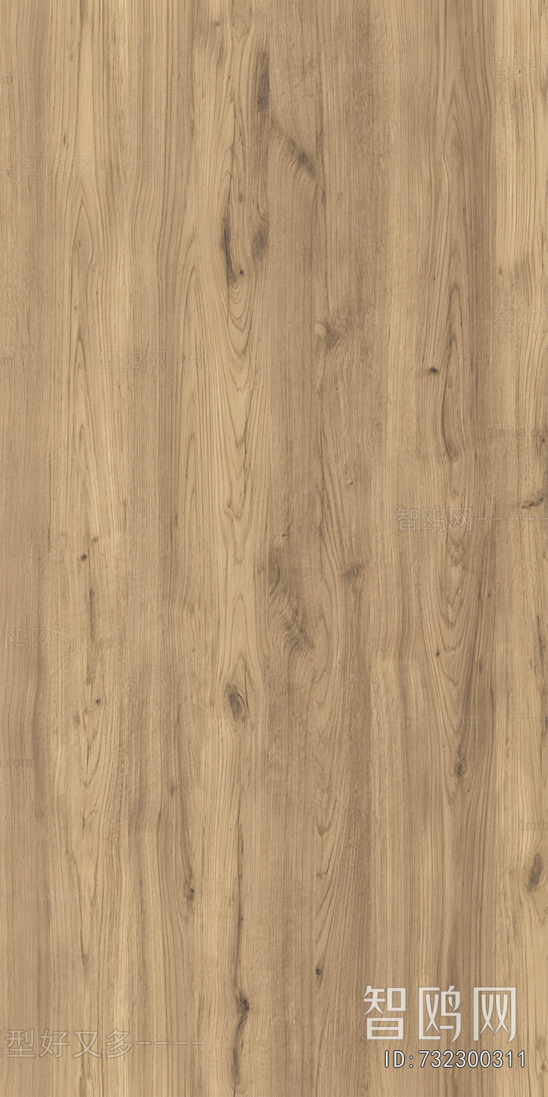 Wood Texture
