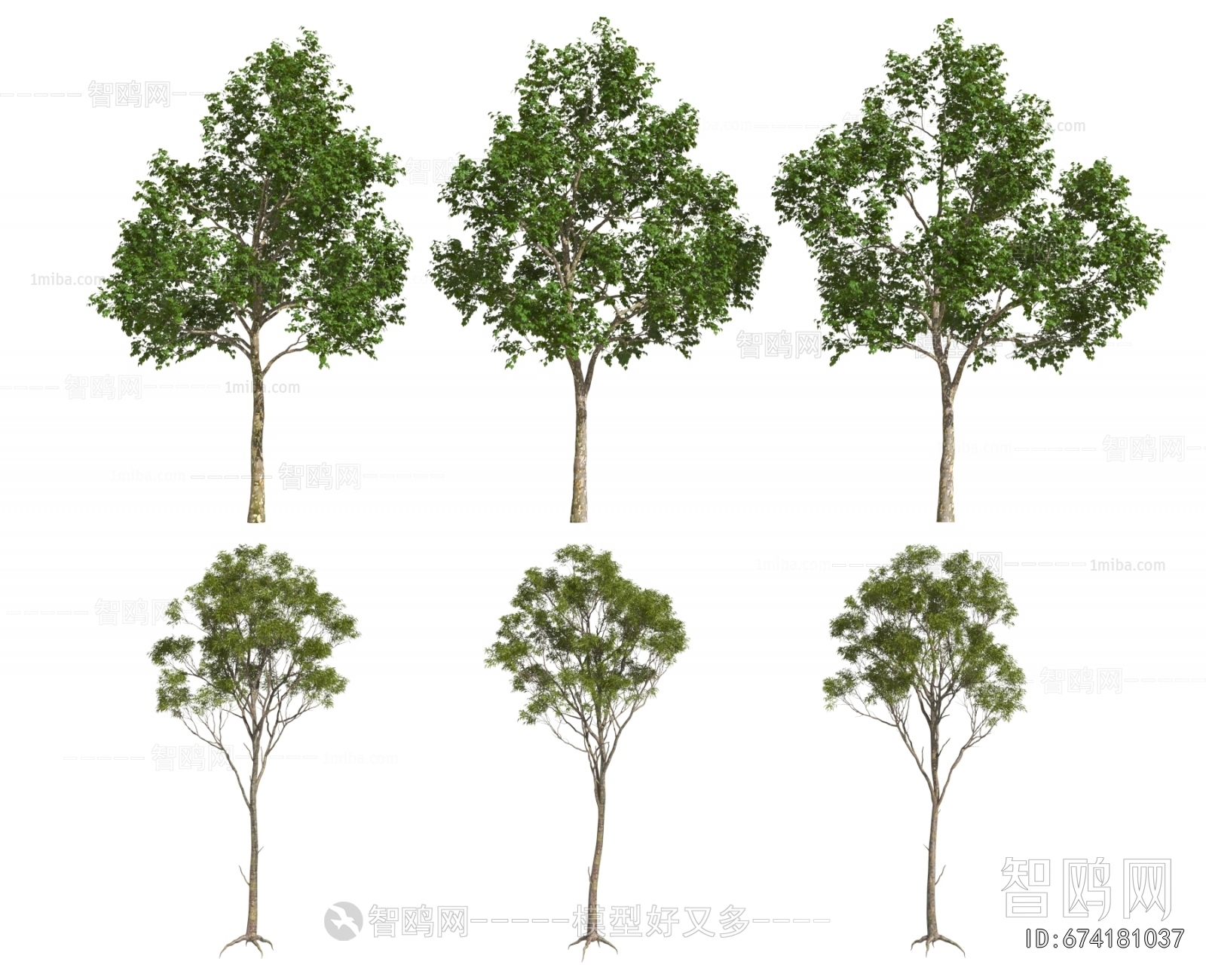 Modern Tree