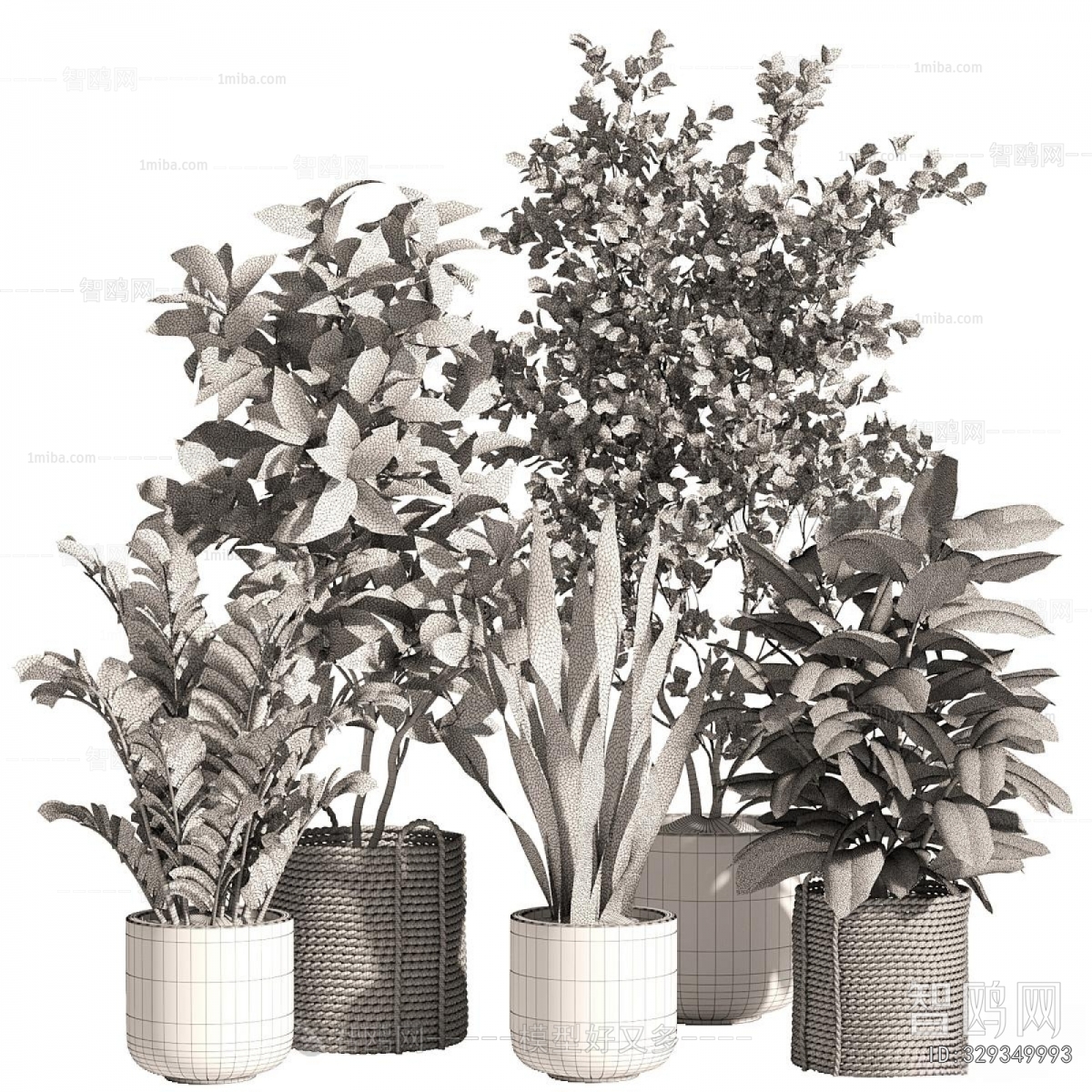Modern Ground Green Plant Potted Plants