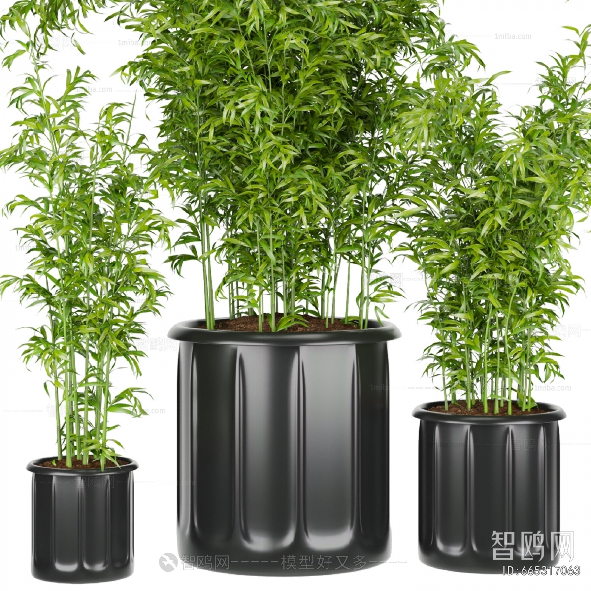 Modern Bamboo