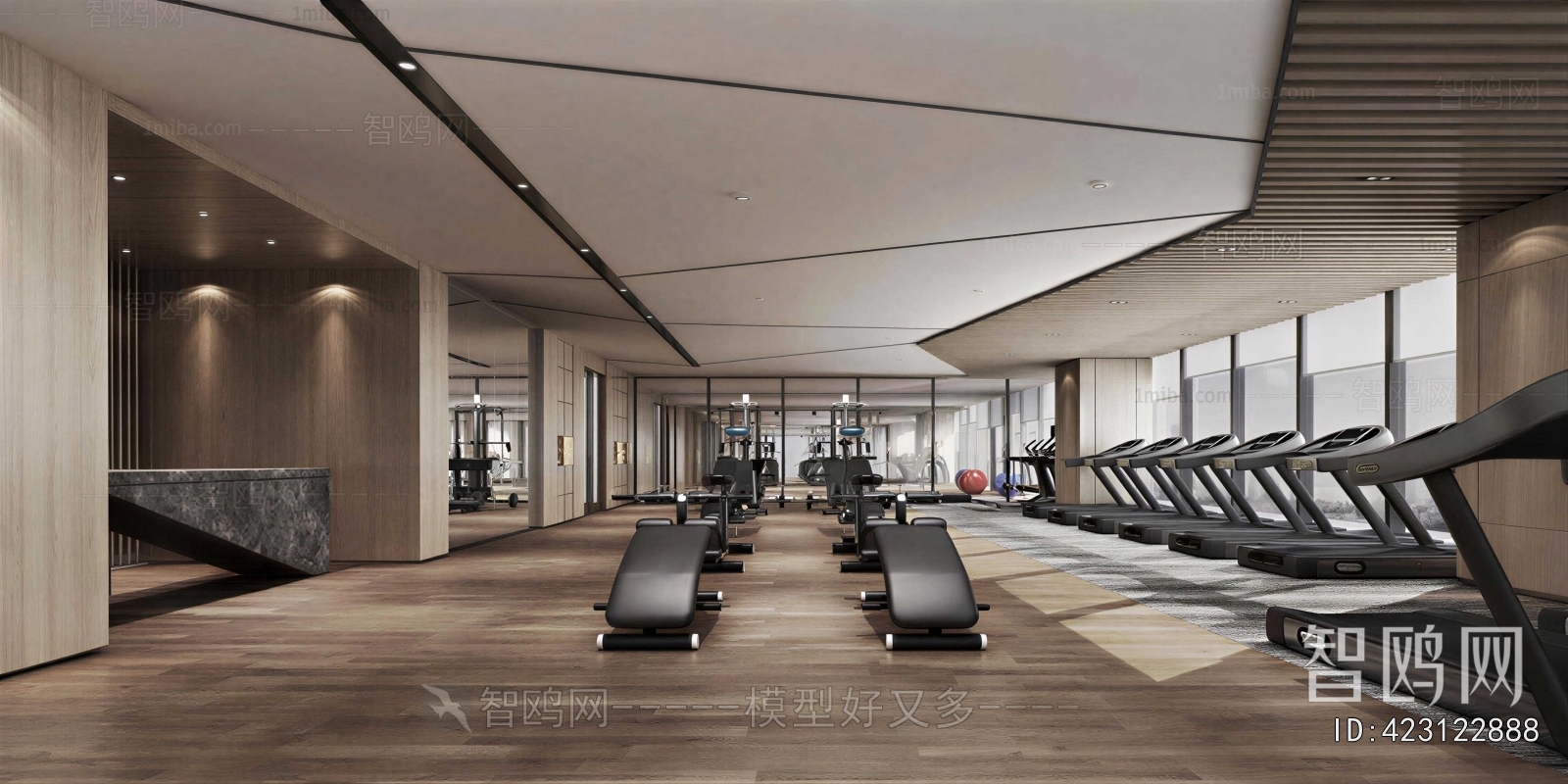 Modern Gym