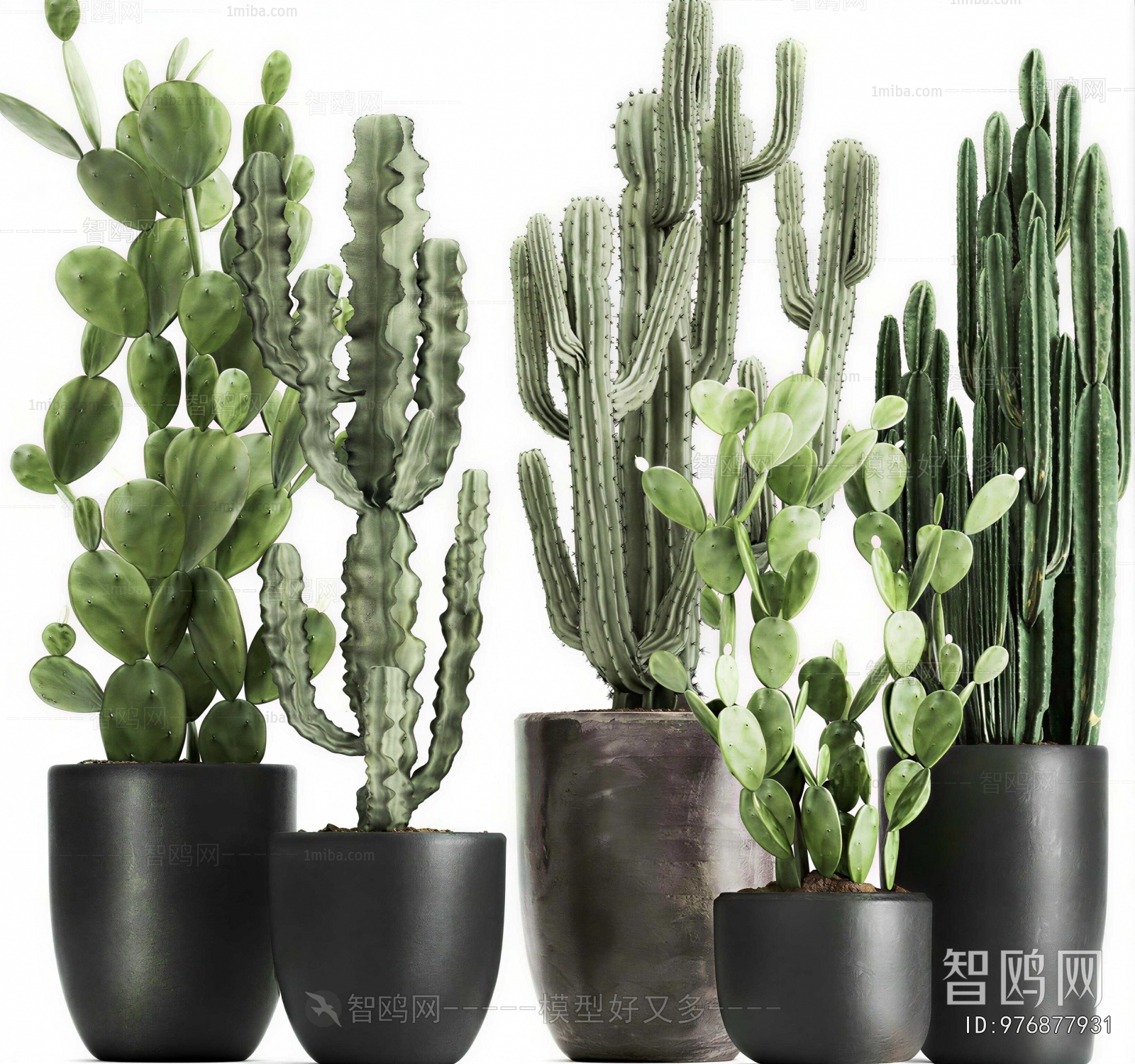 Modern Ground Green Plant Potted Plants