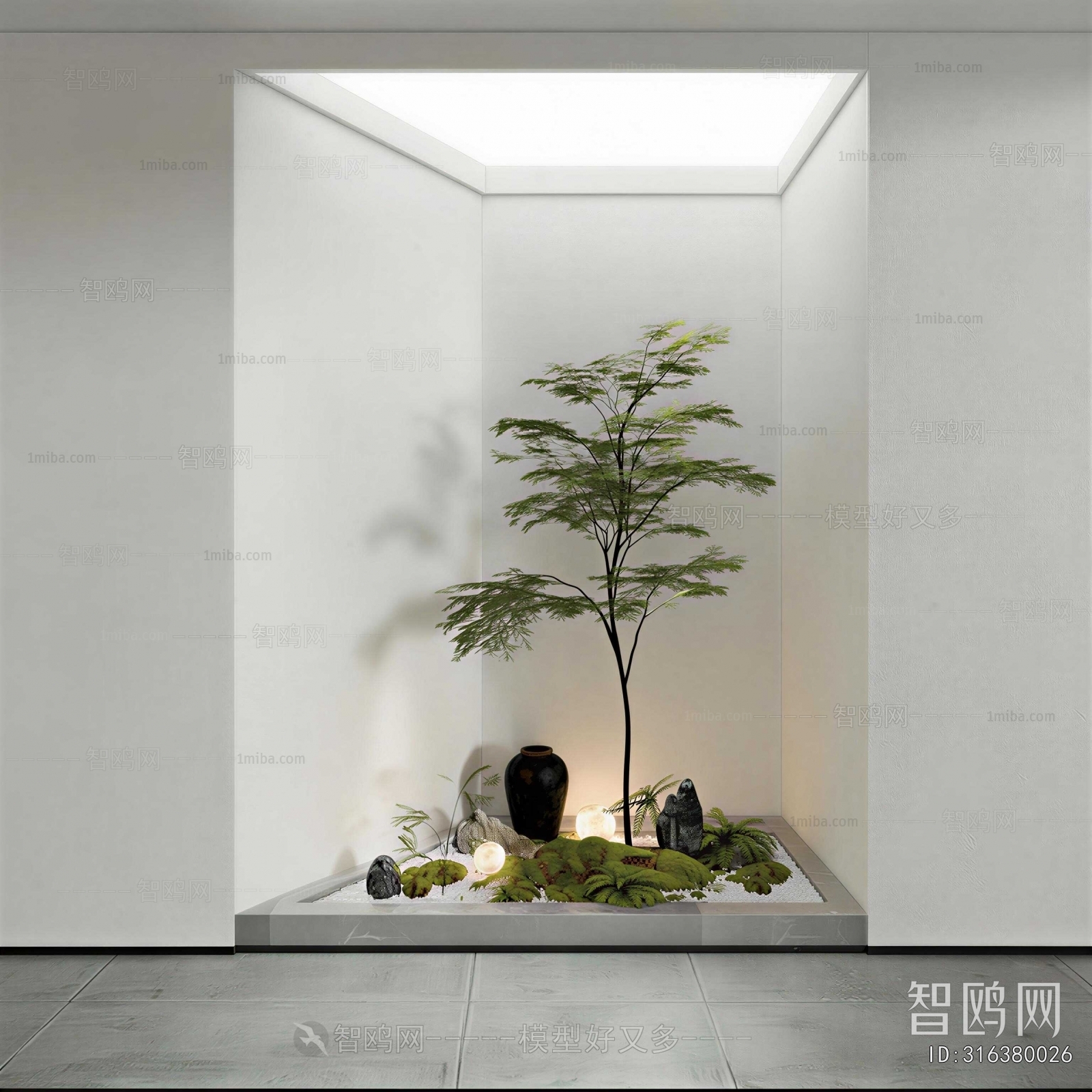 Modern Plant Landscaping