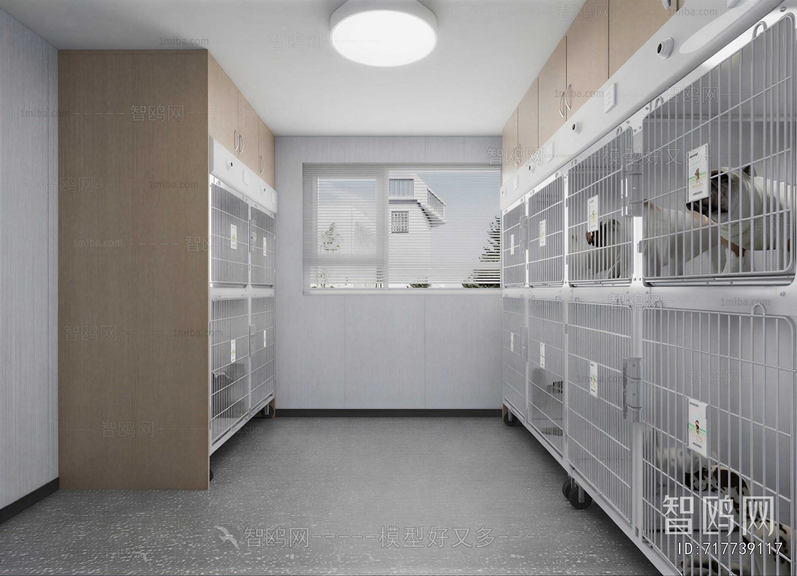 Modern Pet Shop