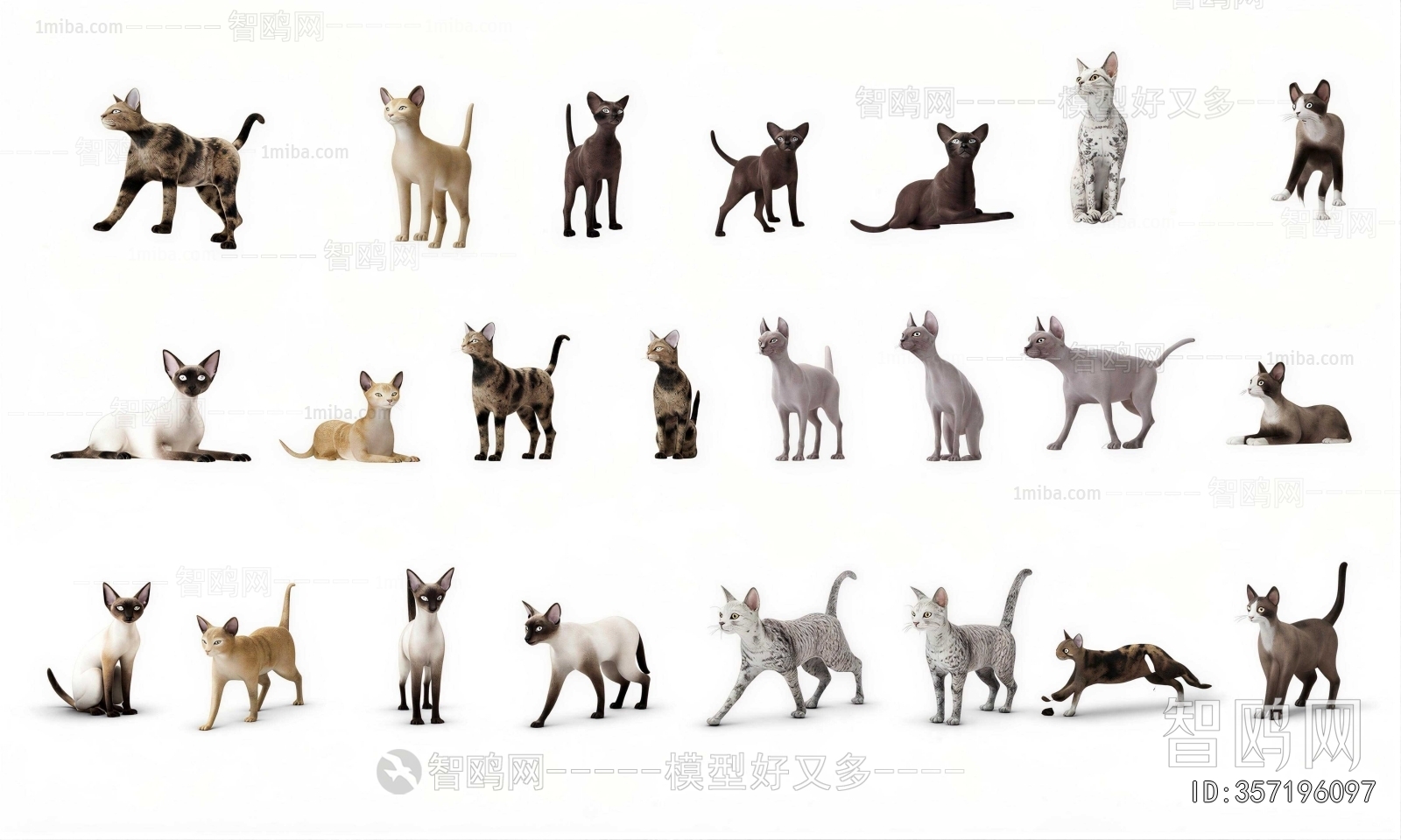 Modern Animal Cat