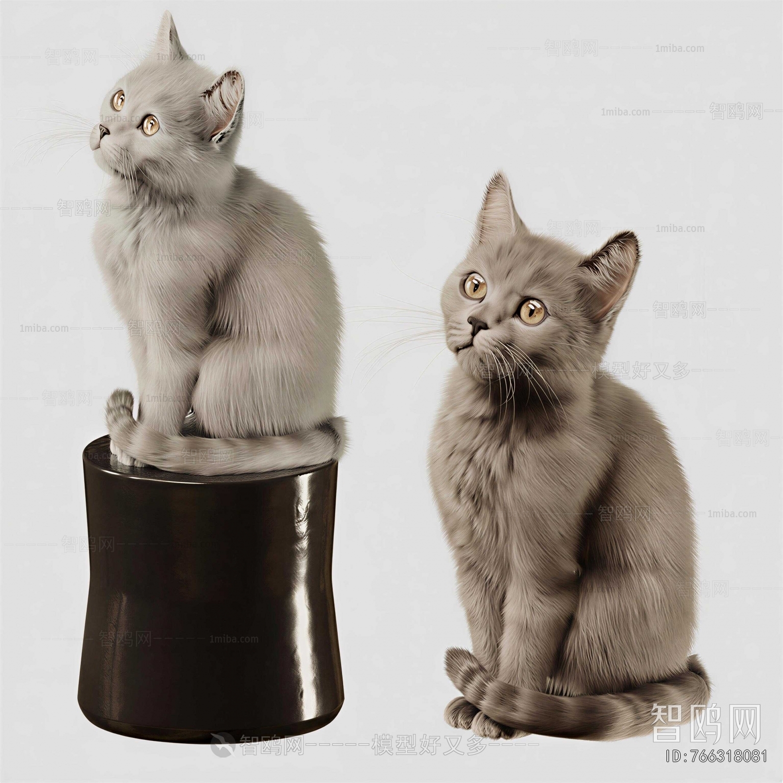 Modern Animal Cat