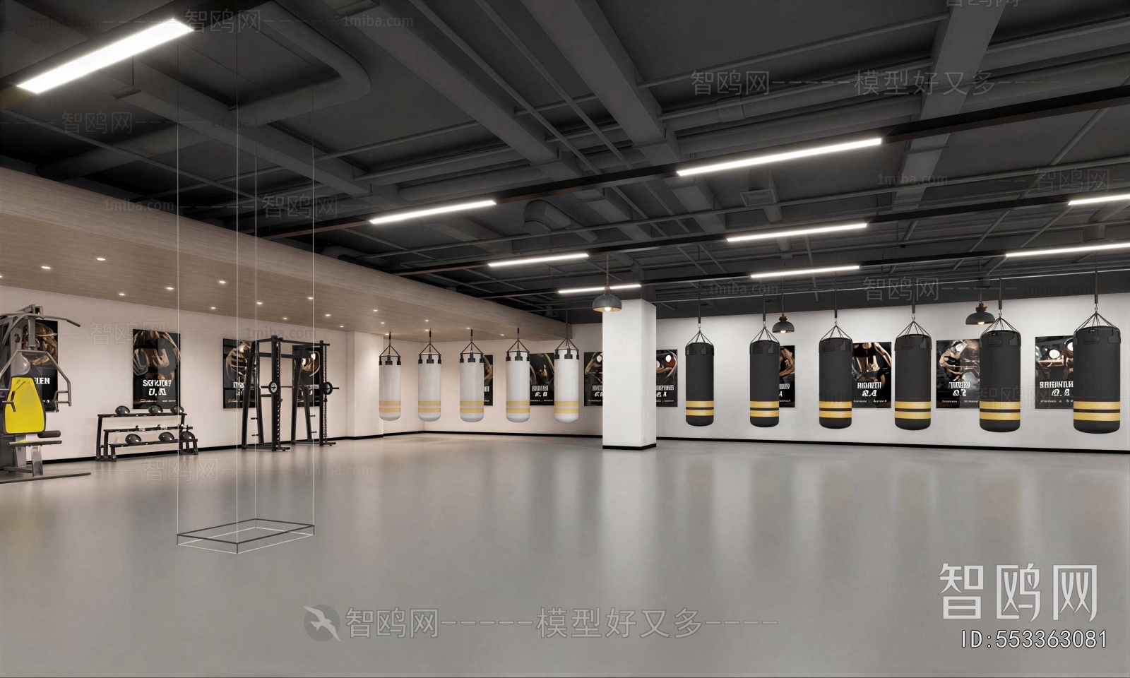 Modern Gym
