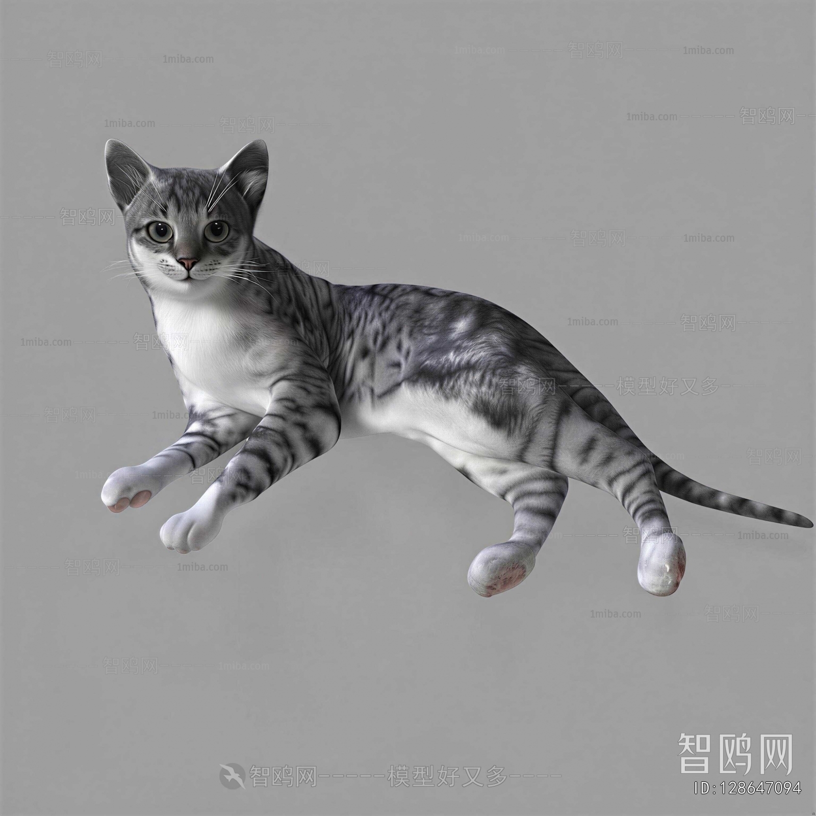 Modern Animal Cat