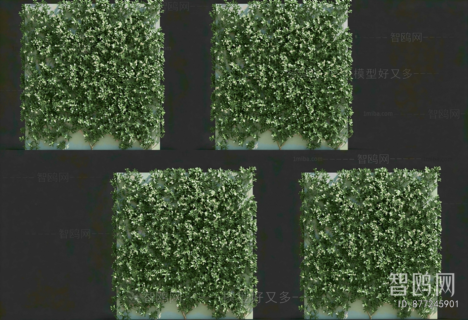 Modern Plant Wall