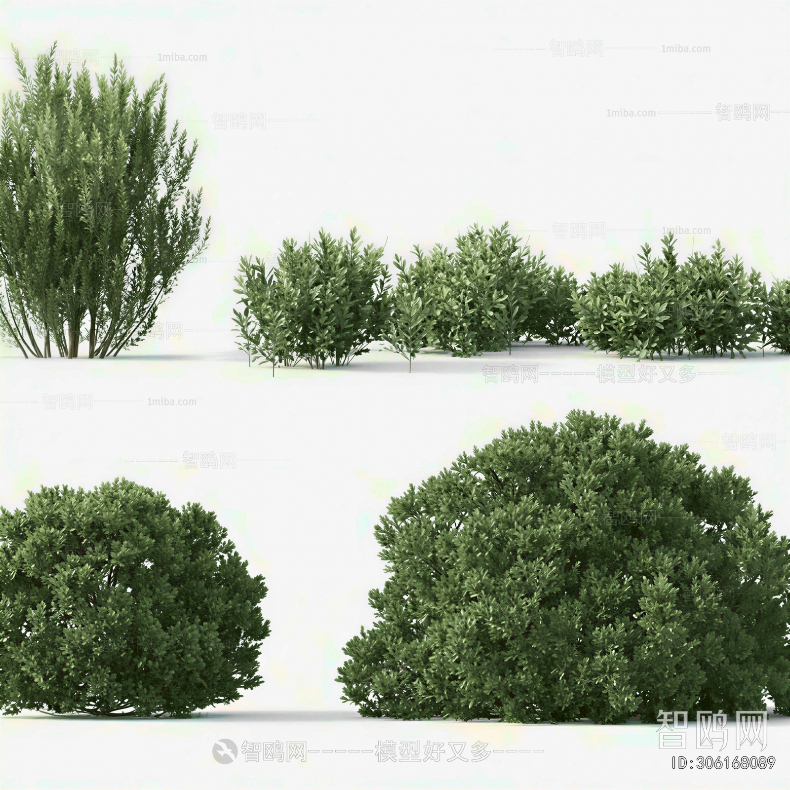 Modern Shrubbery