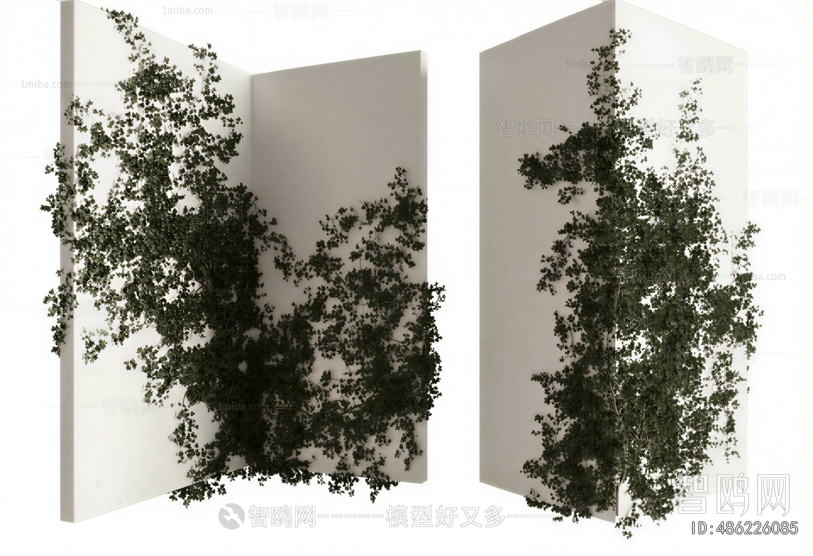Modern Plant Wall