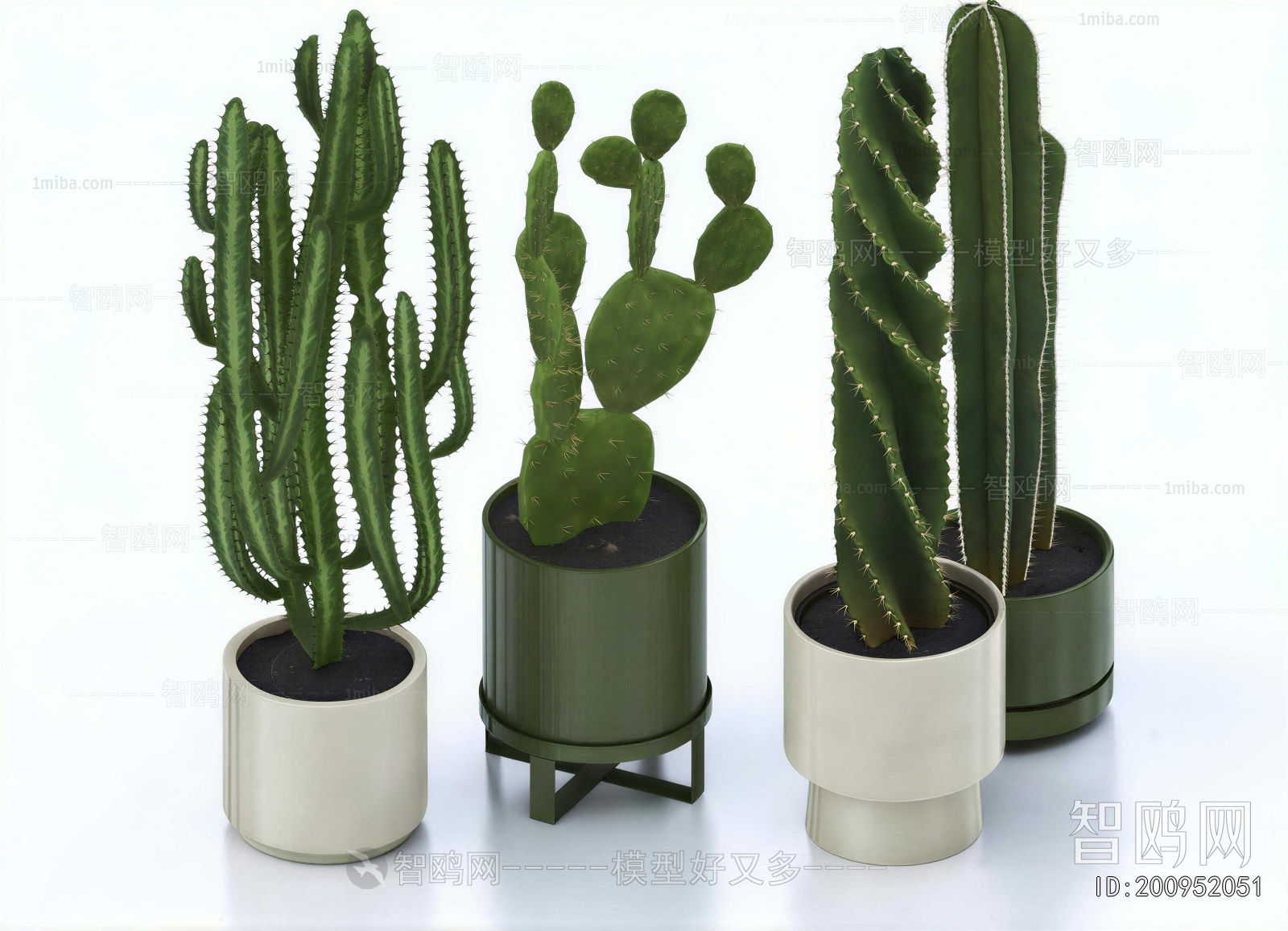 Modern Ground Green Plant Potted Plants