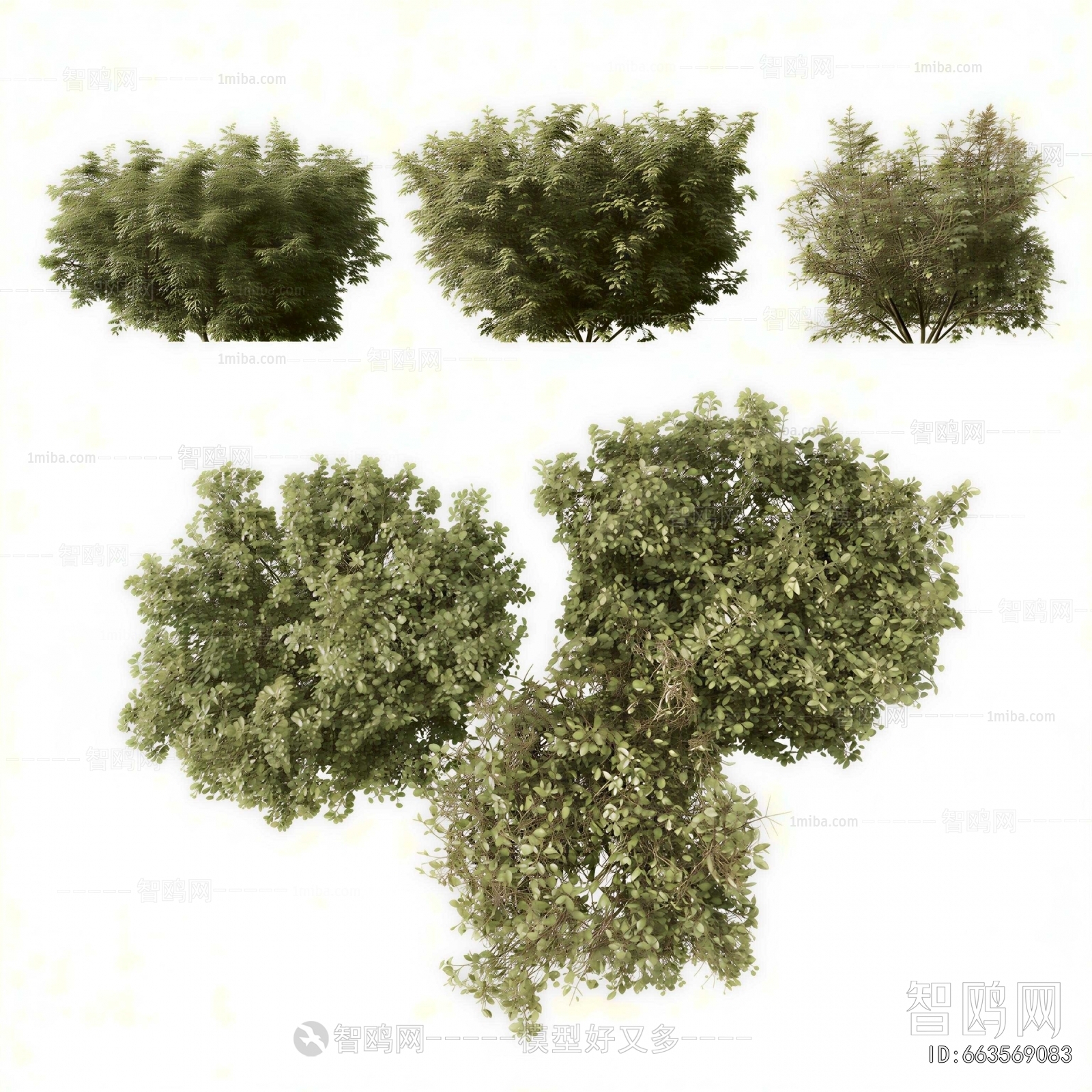 Modern Shrubbery