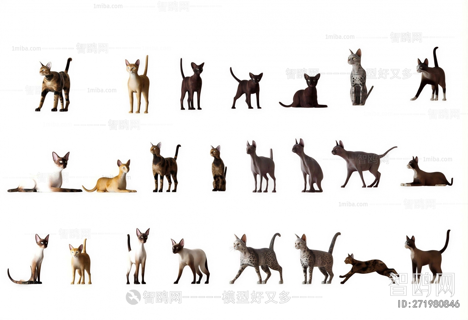 Modern Animal Cat