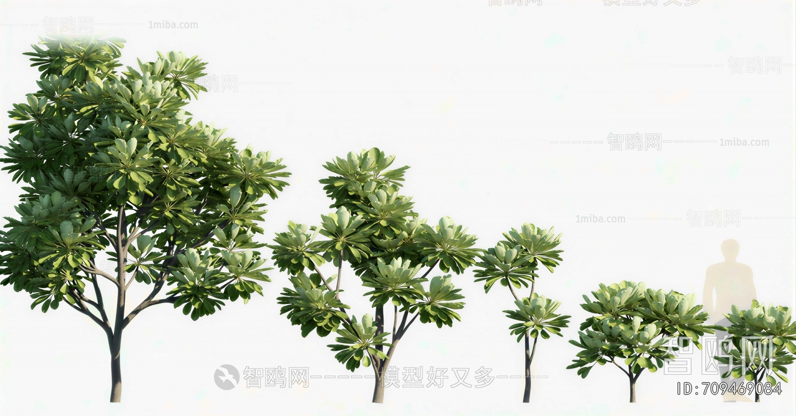 Modern Tree
