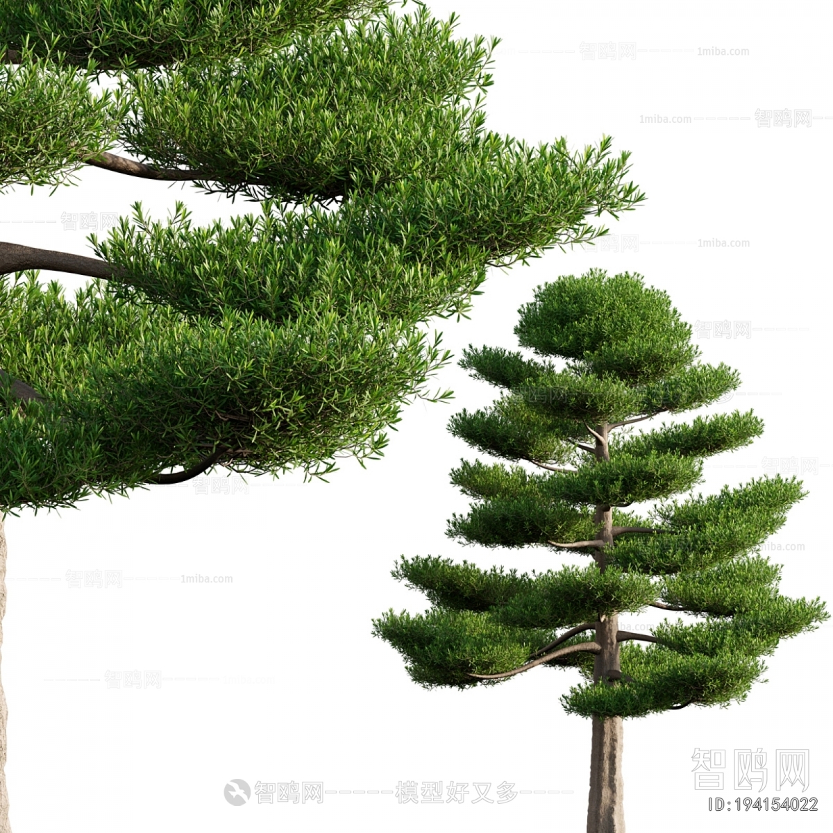 Modern Tree