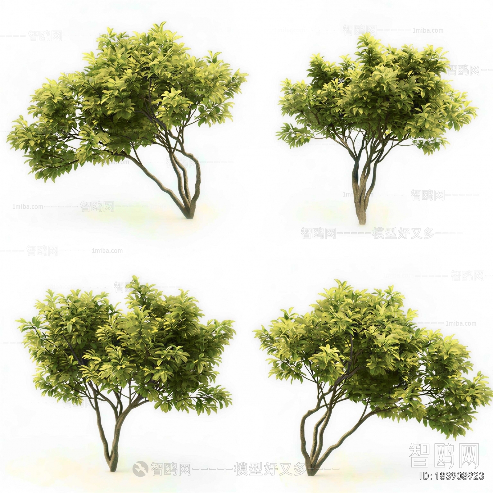 Modern Tree